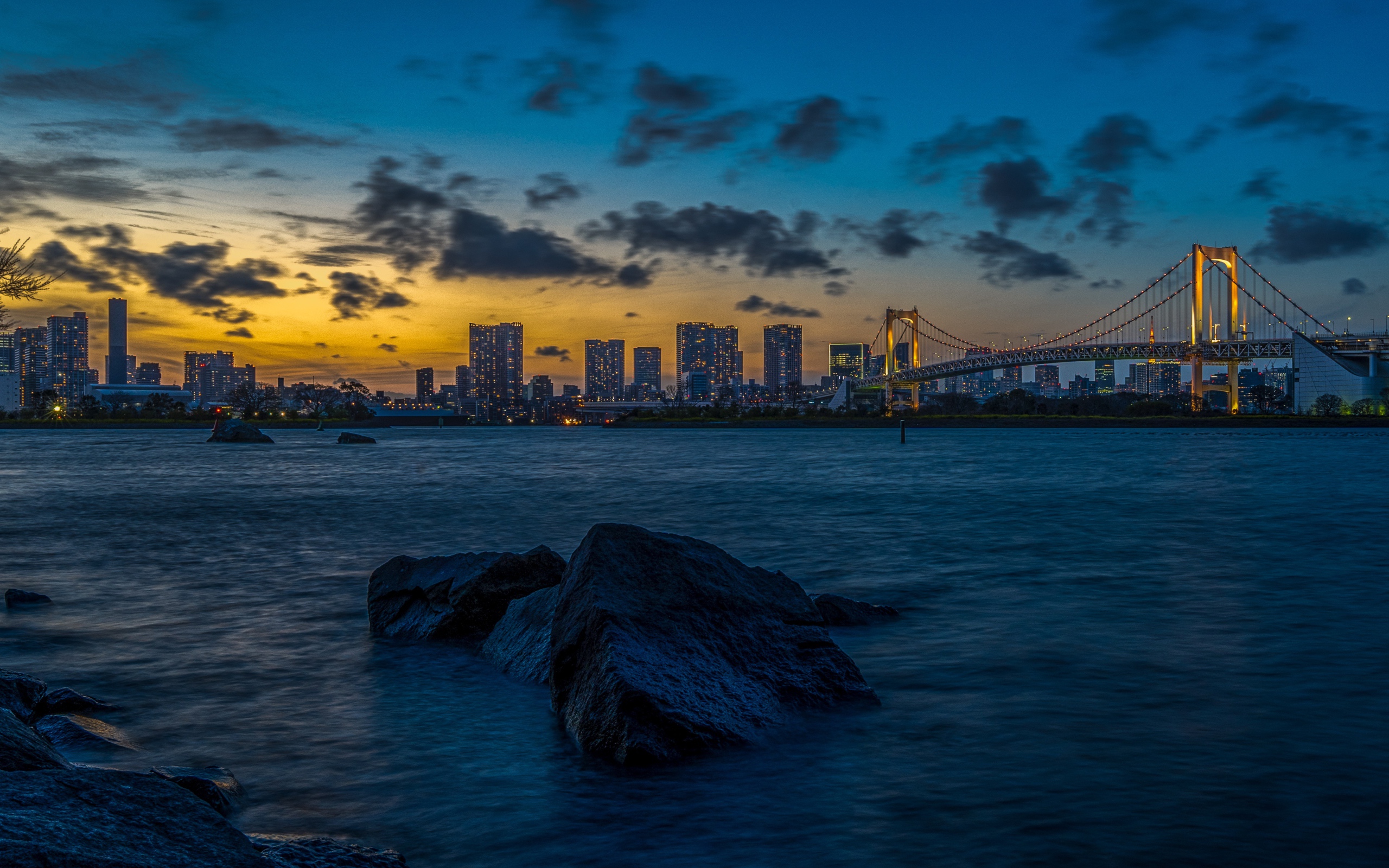 Вид на мост и мегаполис в сумерках, Япония