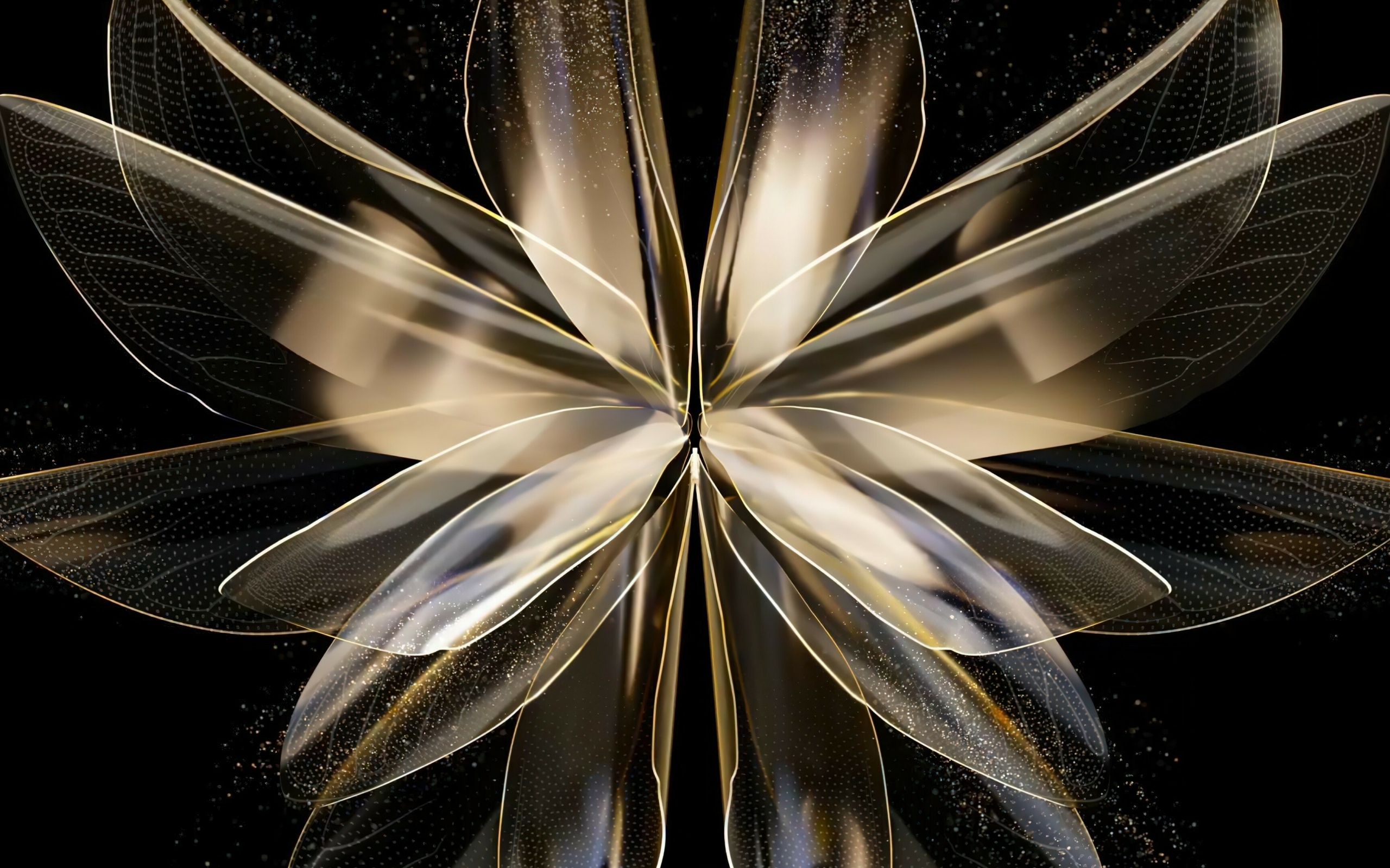 Красивый абстрактный цветок на черном фоне