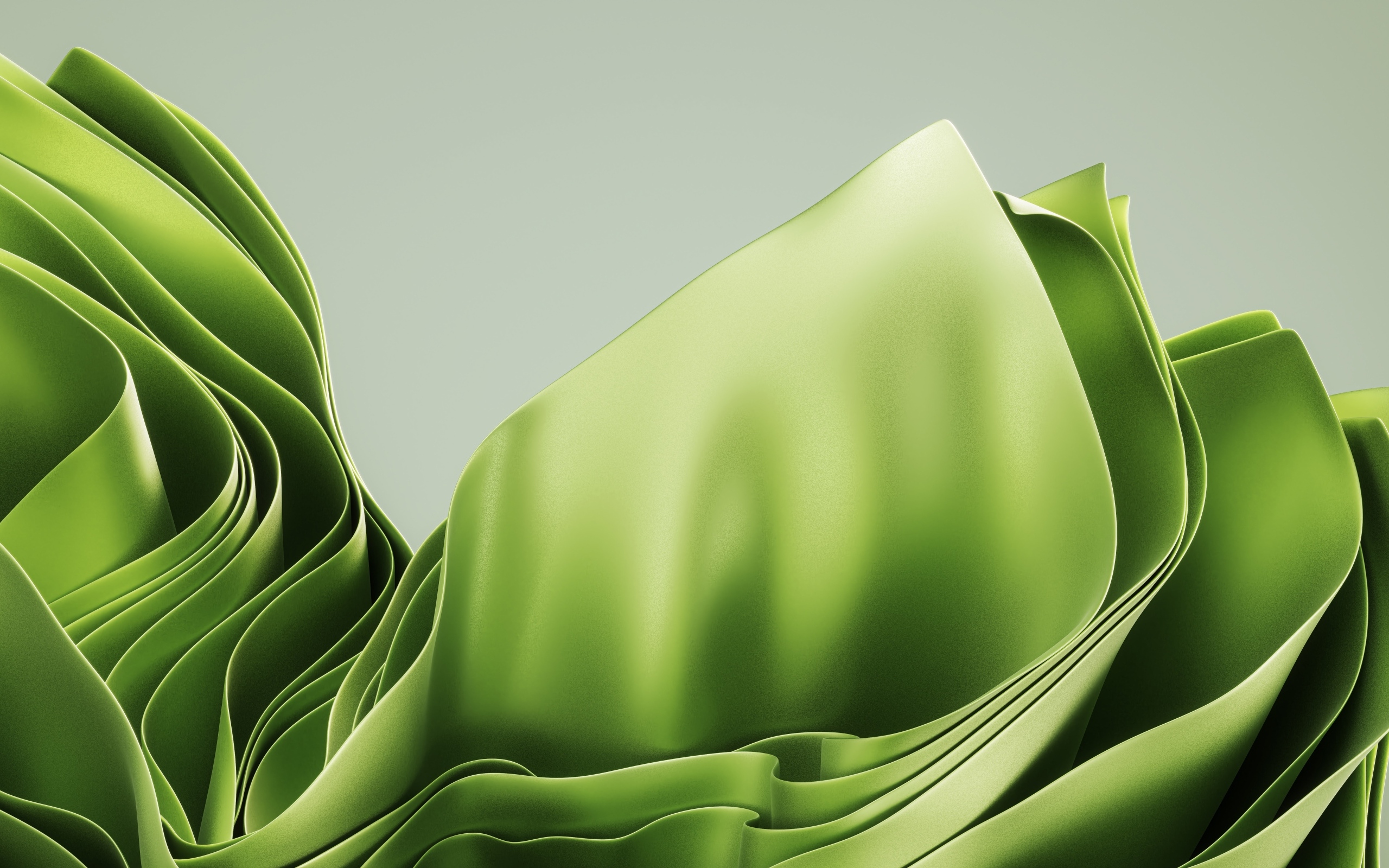 Зеленые абстрактные листья на сером фоне
