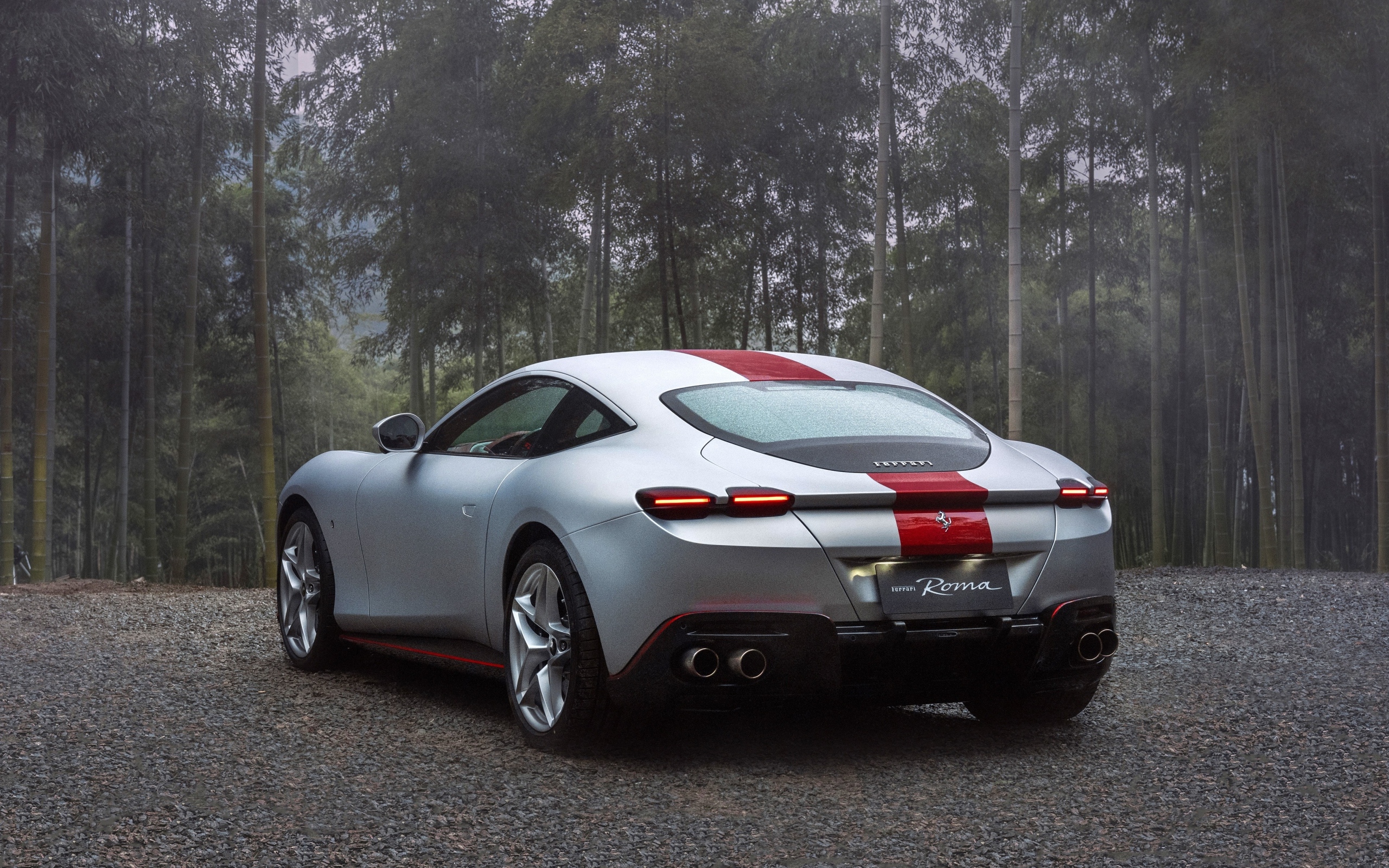 Автомобиль Ferrari Roma 30th Anniversary 2023  вид сзади