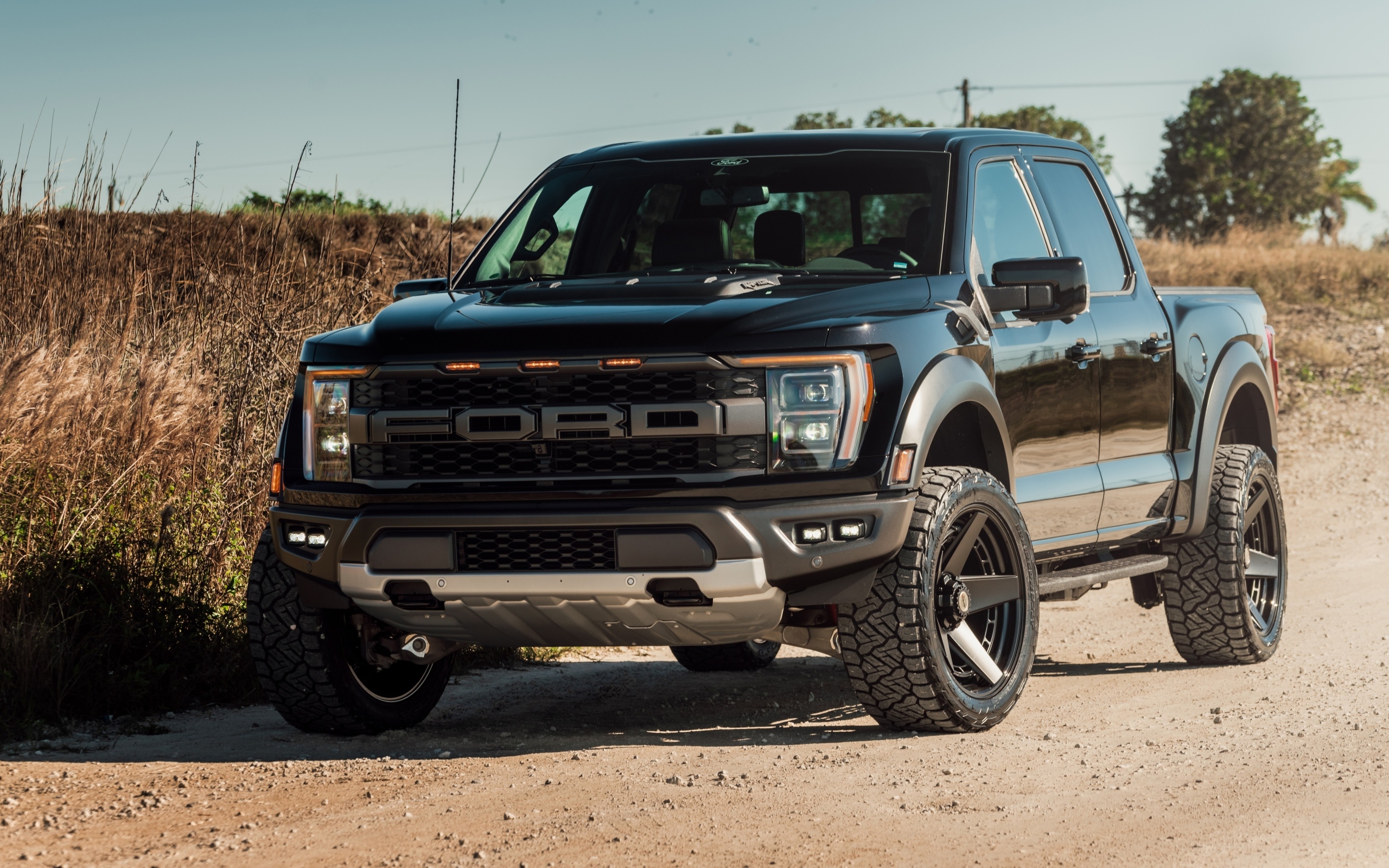 Внедорожник Ford Raptor