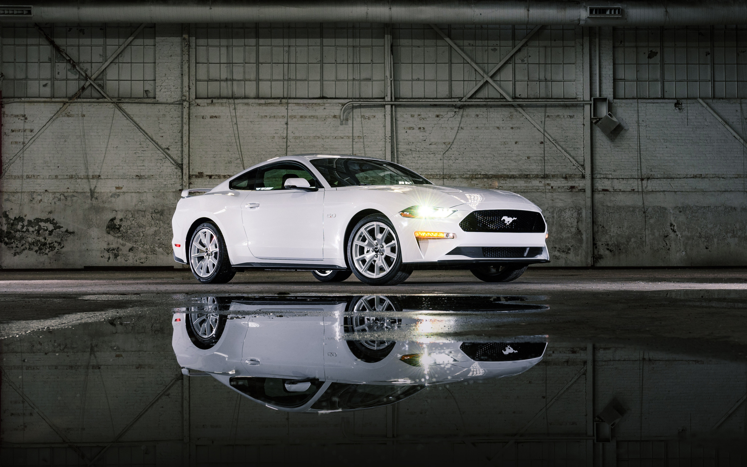 Белый Ford Mustang GT, 2022 года у воды