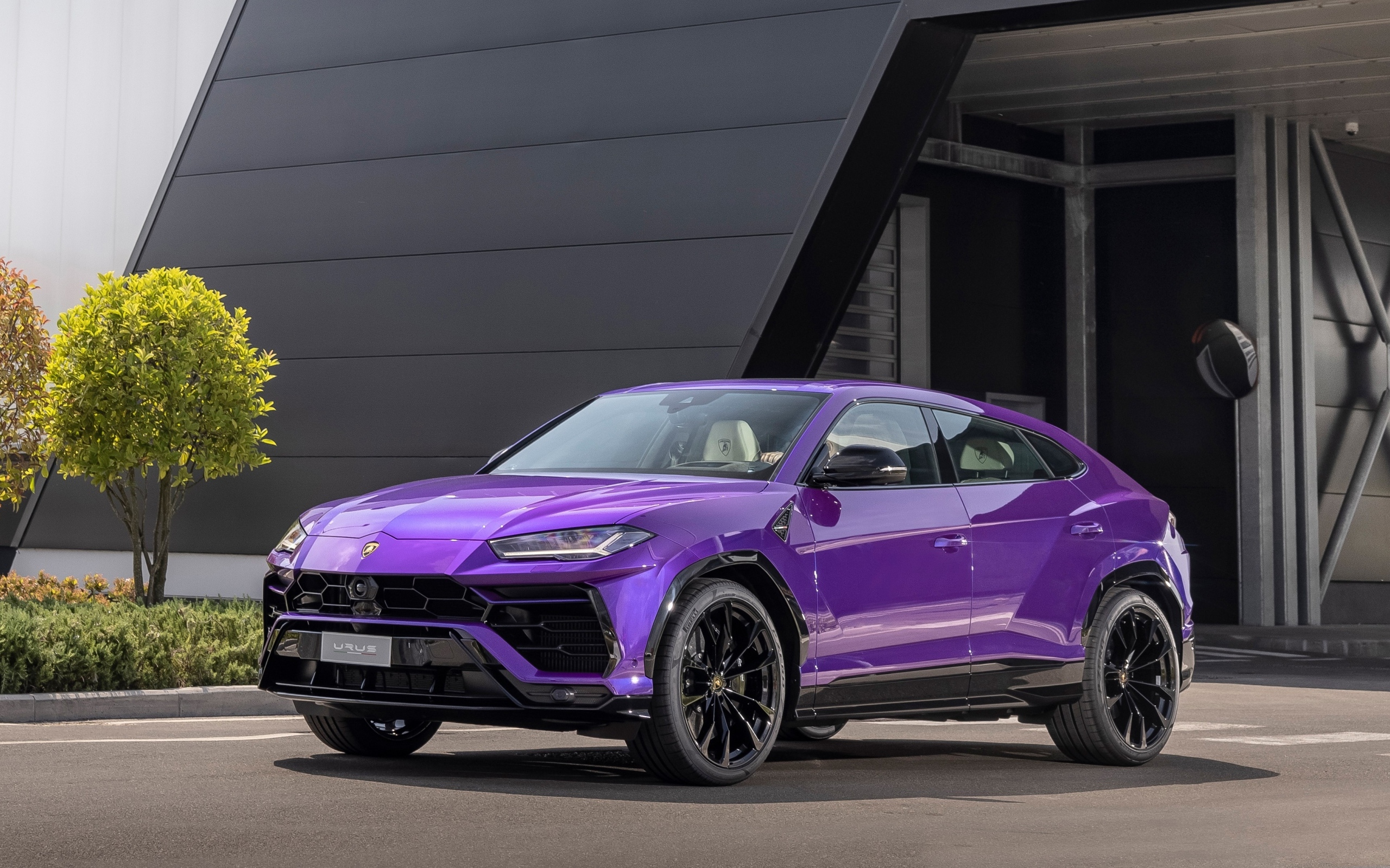 Сиреневый внедорожник Lamborghini Urus