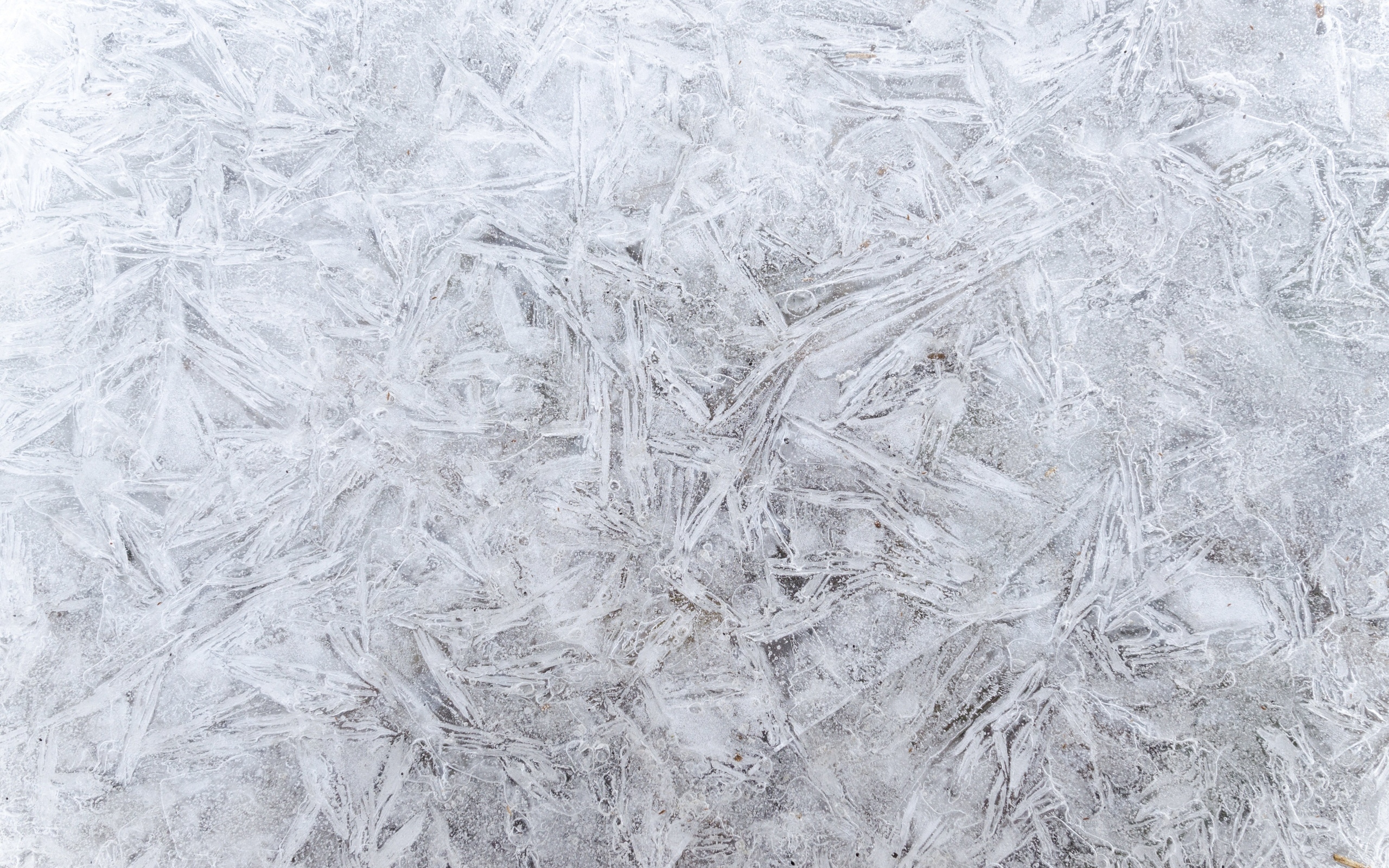 Стена покрашена белой краской для фона