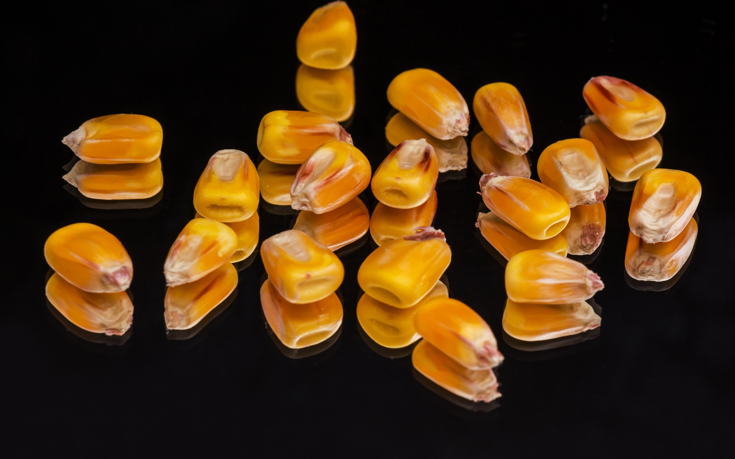 Зерна кукурузы на черном фоне