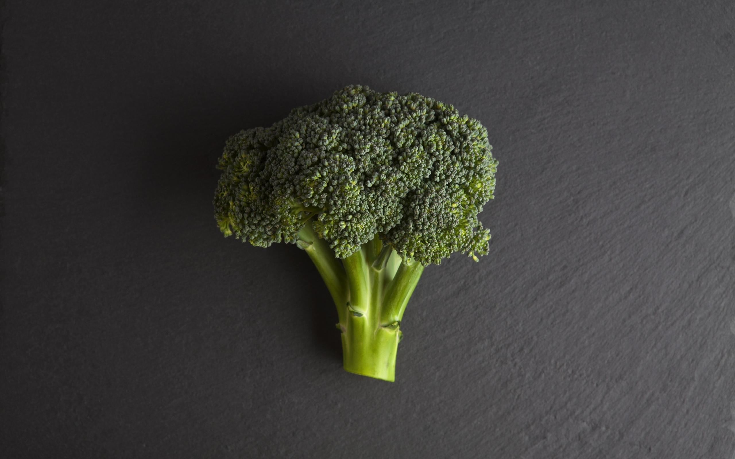 Зеленое брокколи на сером столе
