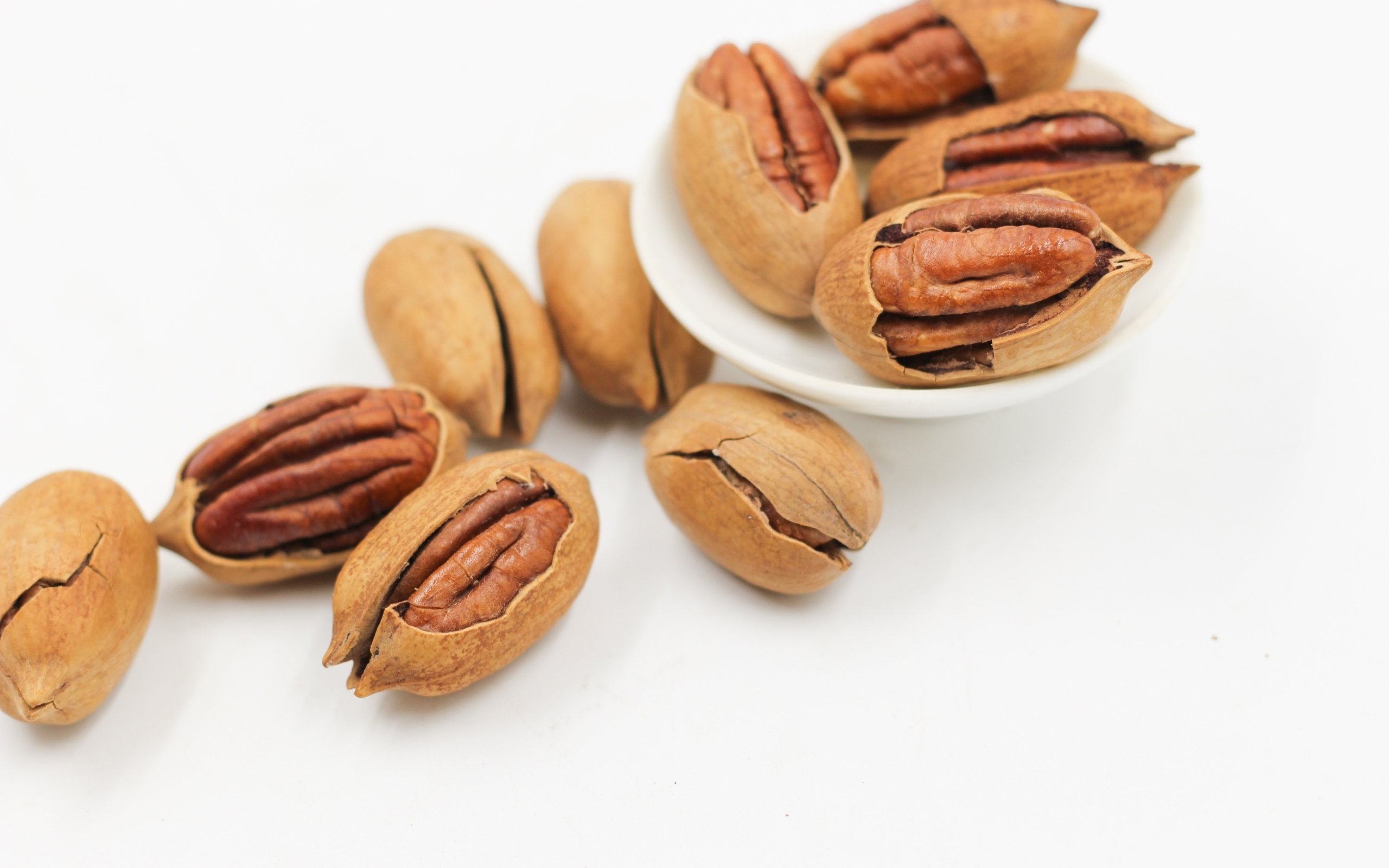 Большой орех пекан на белом фоне