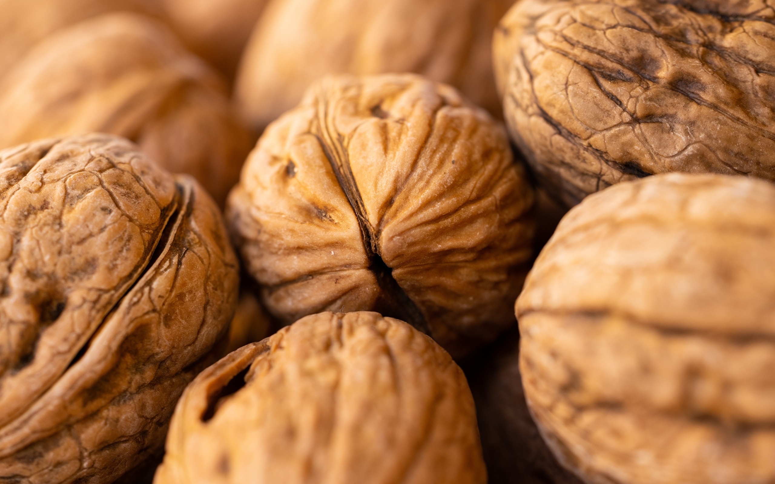 Крупные грецкие орехи