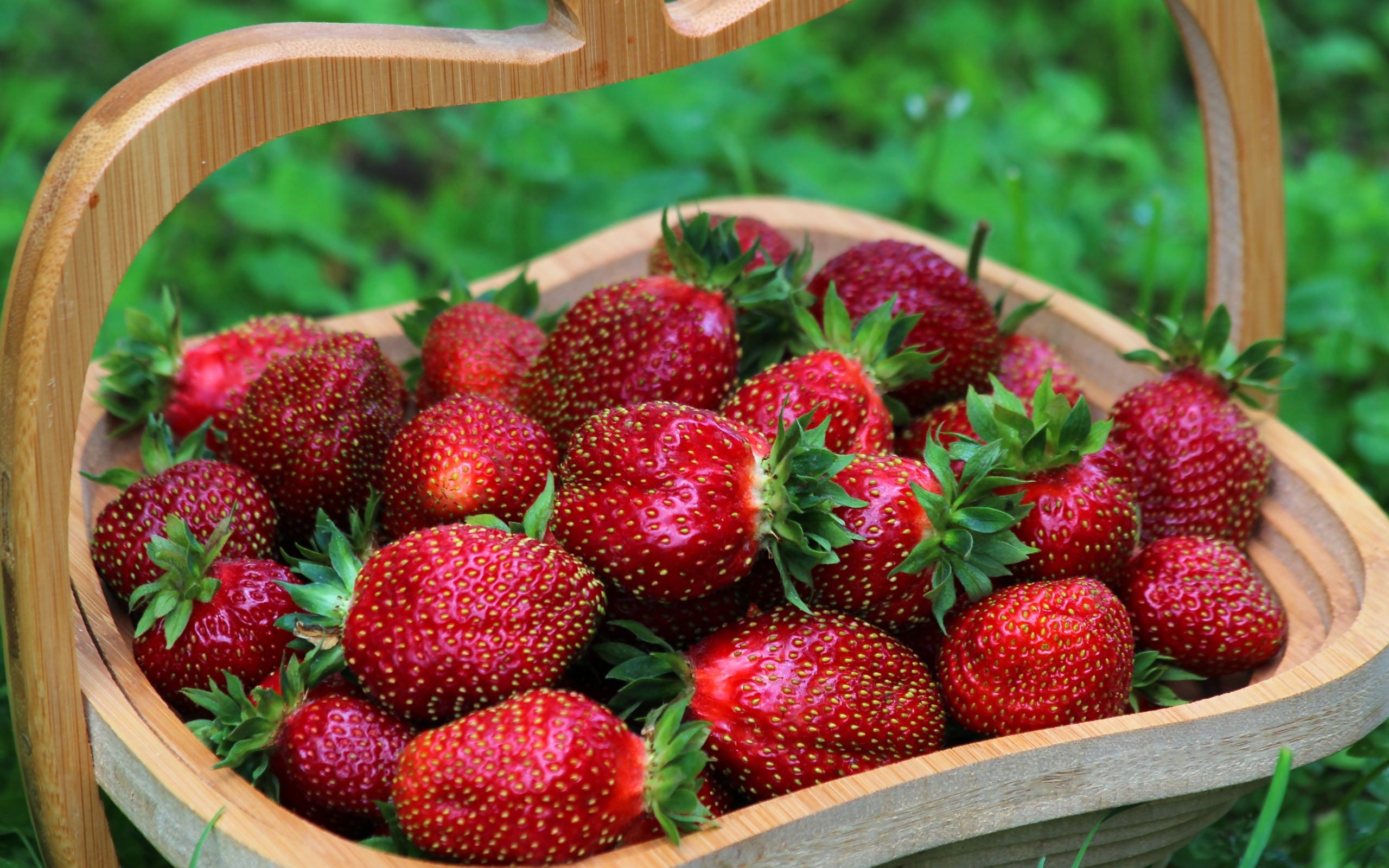 Деревянная корзина вкусной сладкой спелой клубники