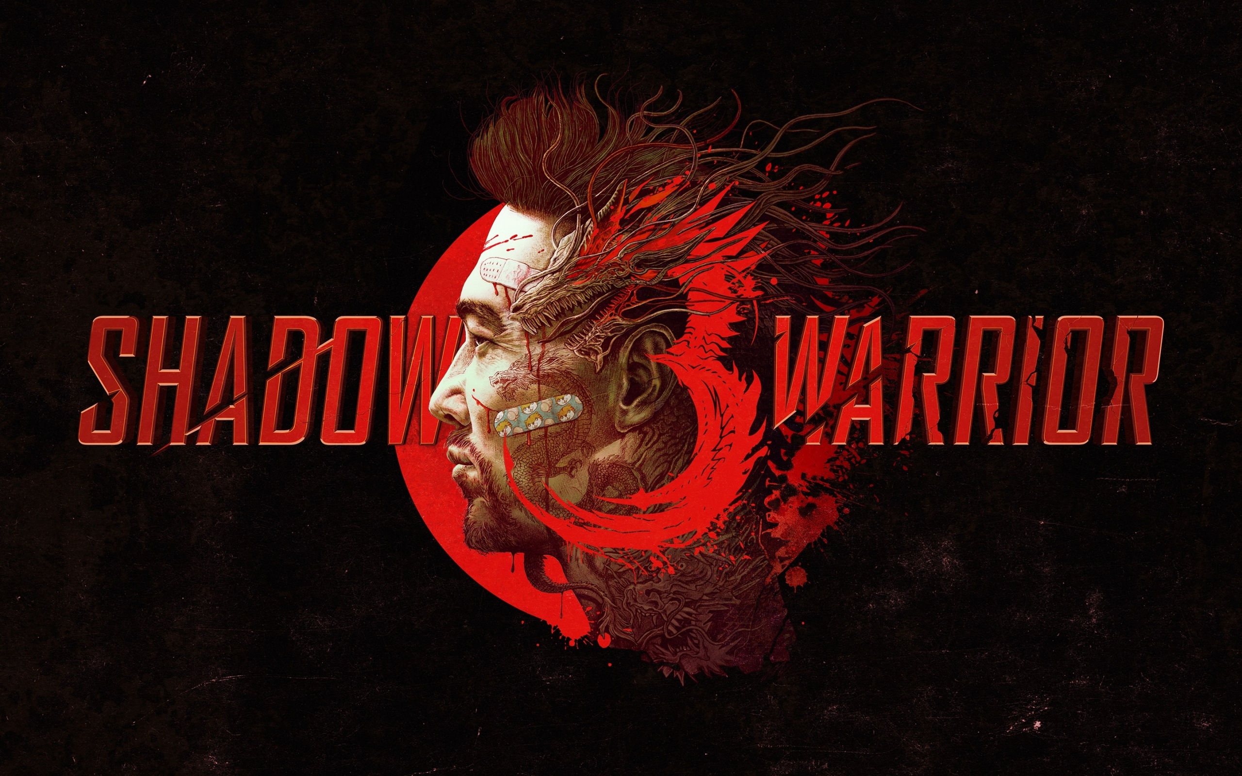 Poster for the computer game Shadow Warrior 3