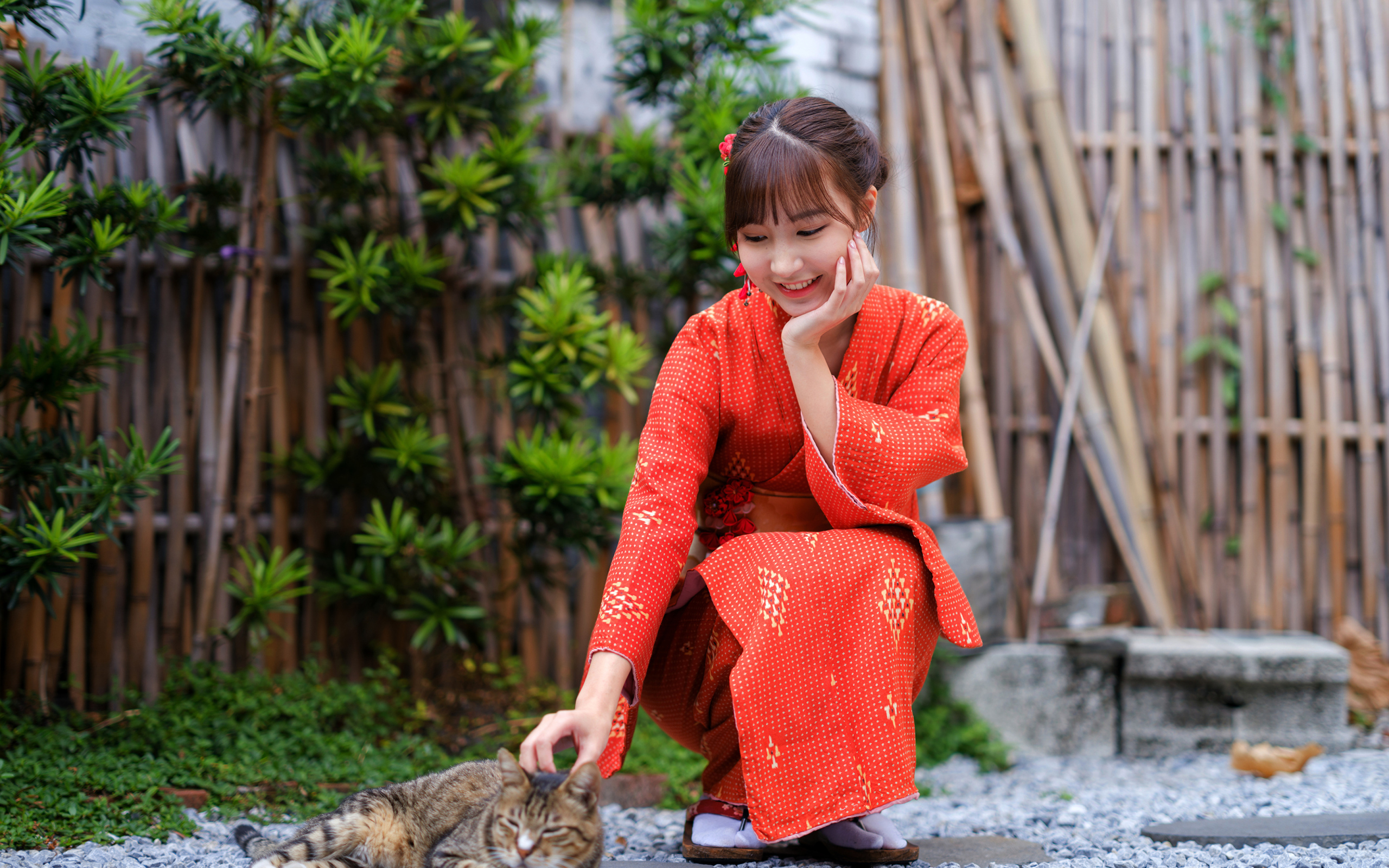 Девушка азиатка в красном платье гладит кота