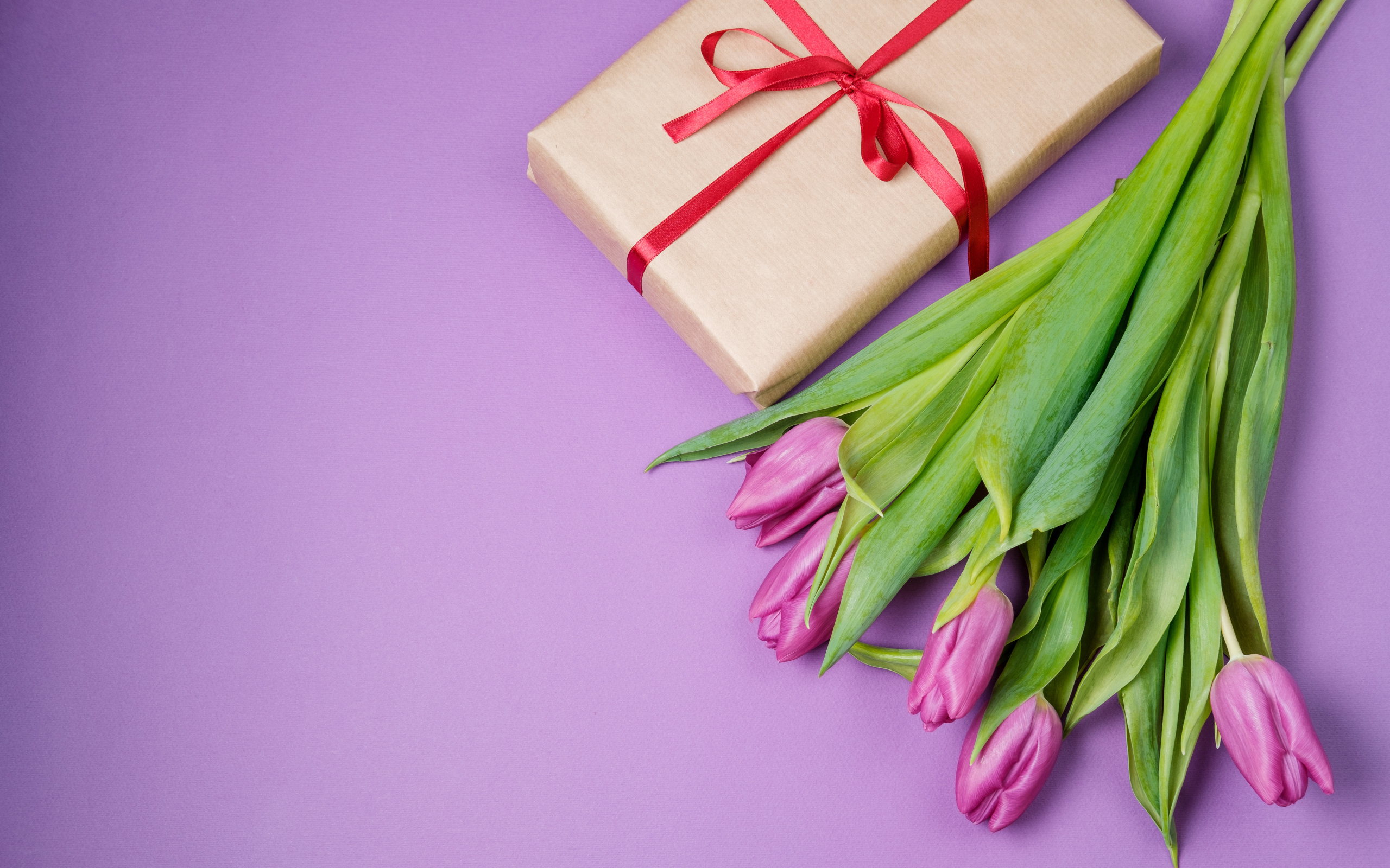 Подарок и букет красивых тюльпанов на сиреневом фоне