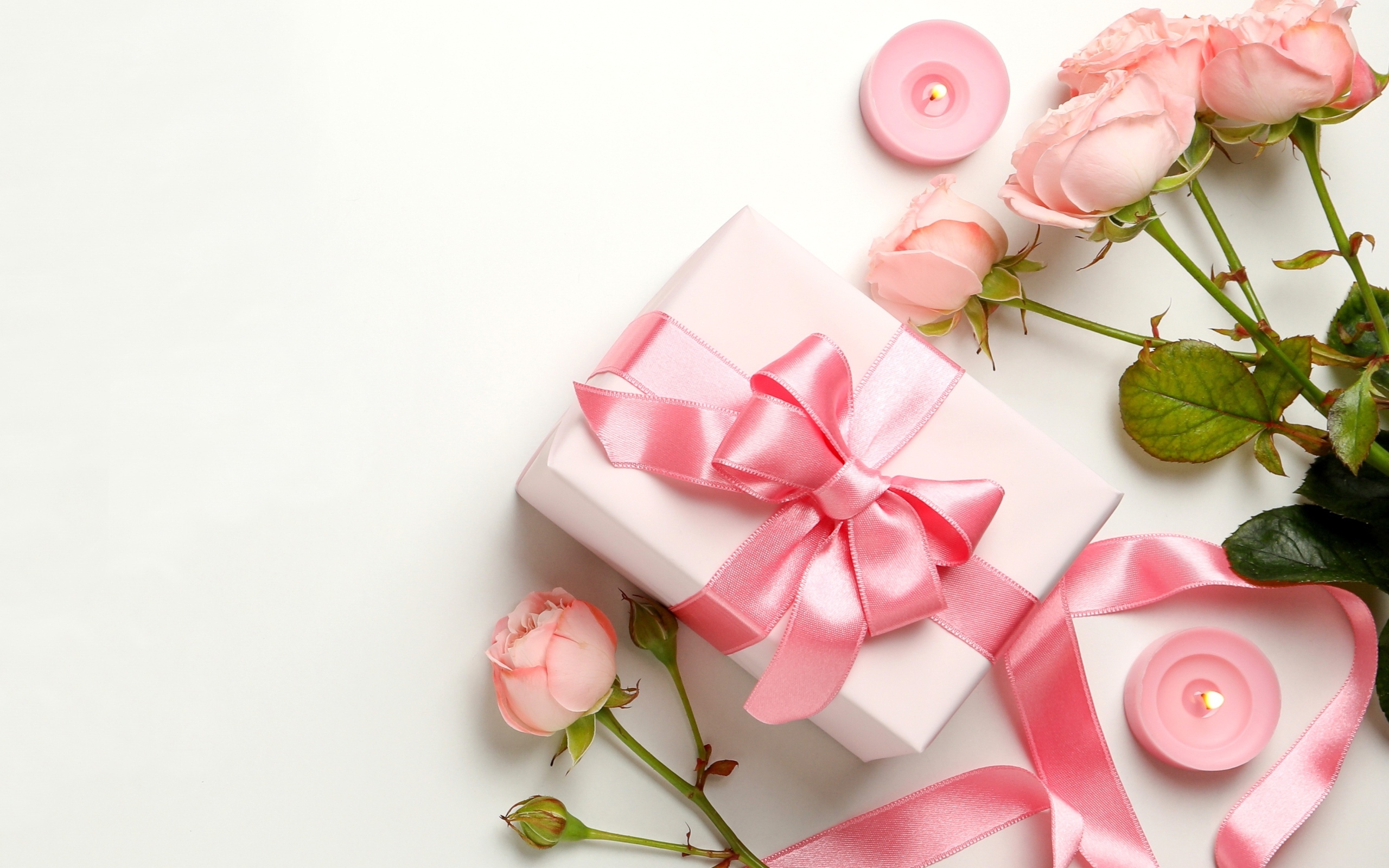 Розовые розы с подарком на белом фоне,  шаблон для открытки на 8 марта