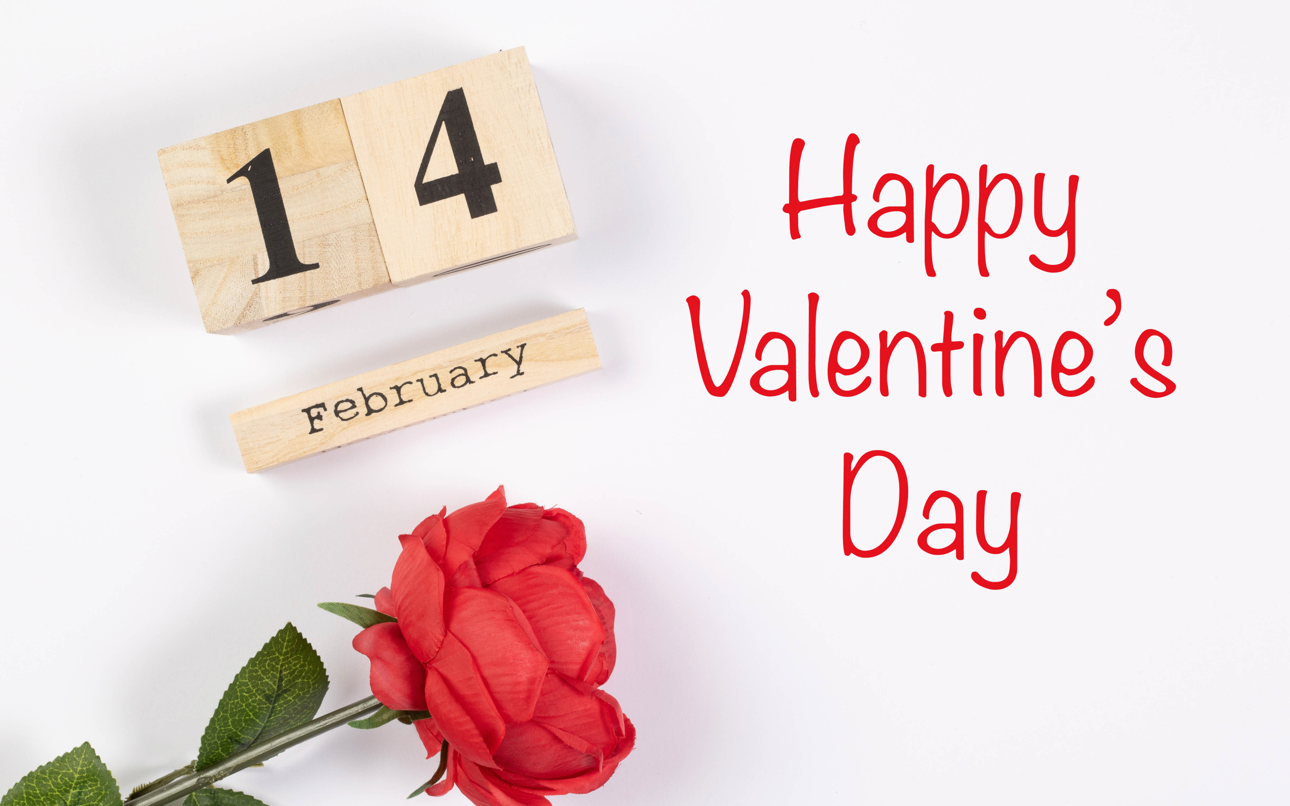 Красивая открытка с розой на белом фоне на День влюбленных