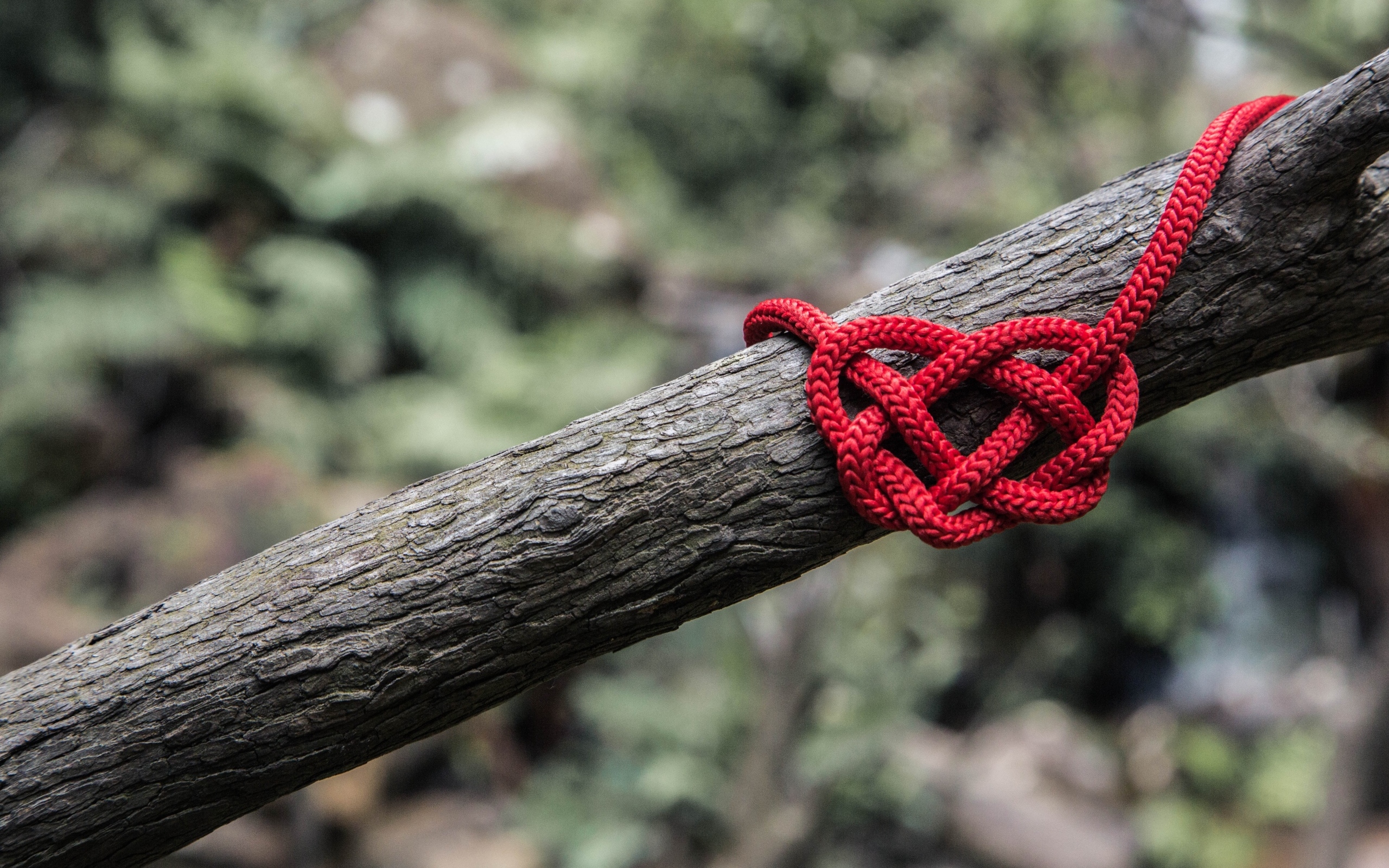 Красное сердце из веревки на дереве