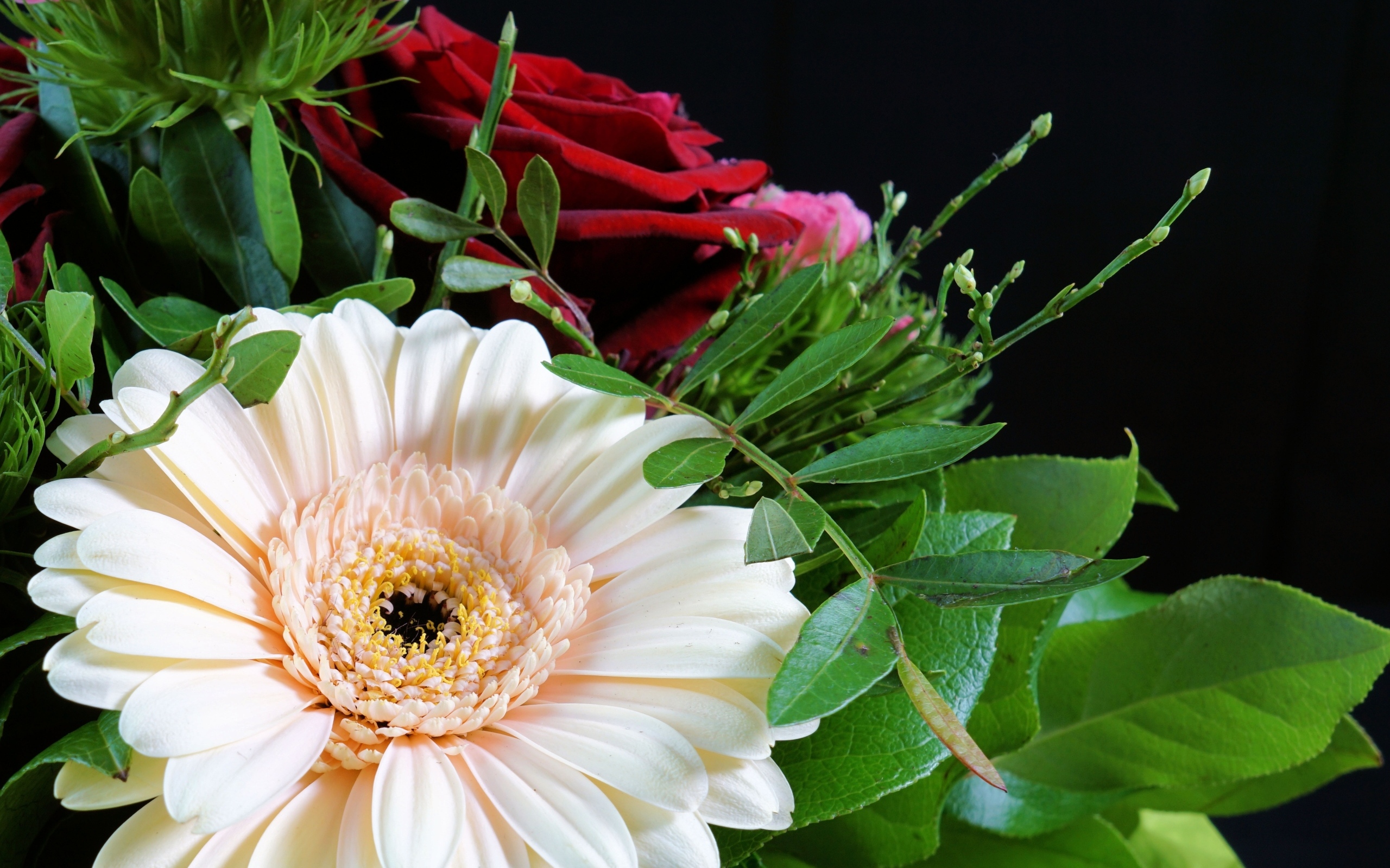 Цветок герберы в букете с красными розами