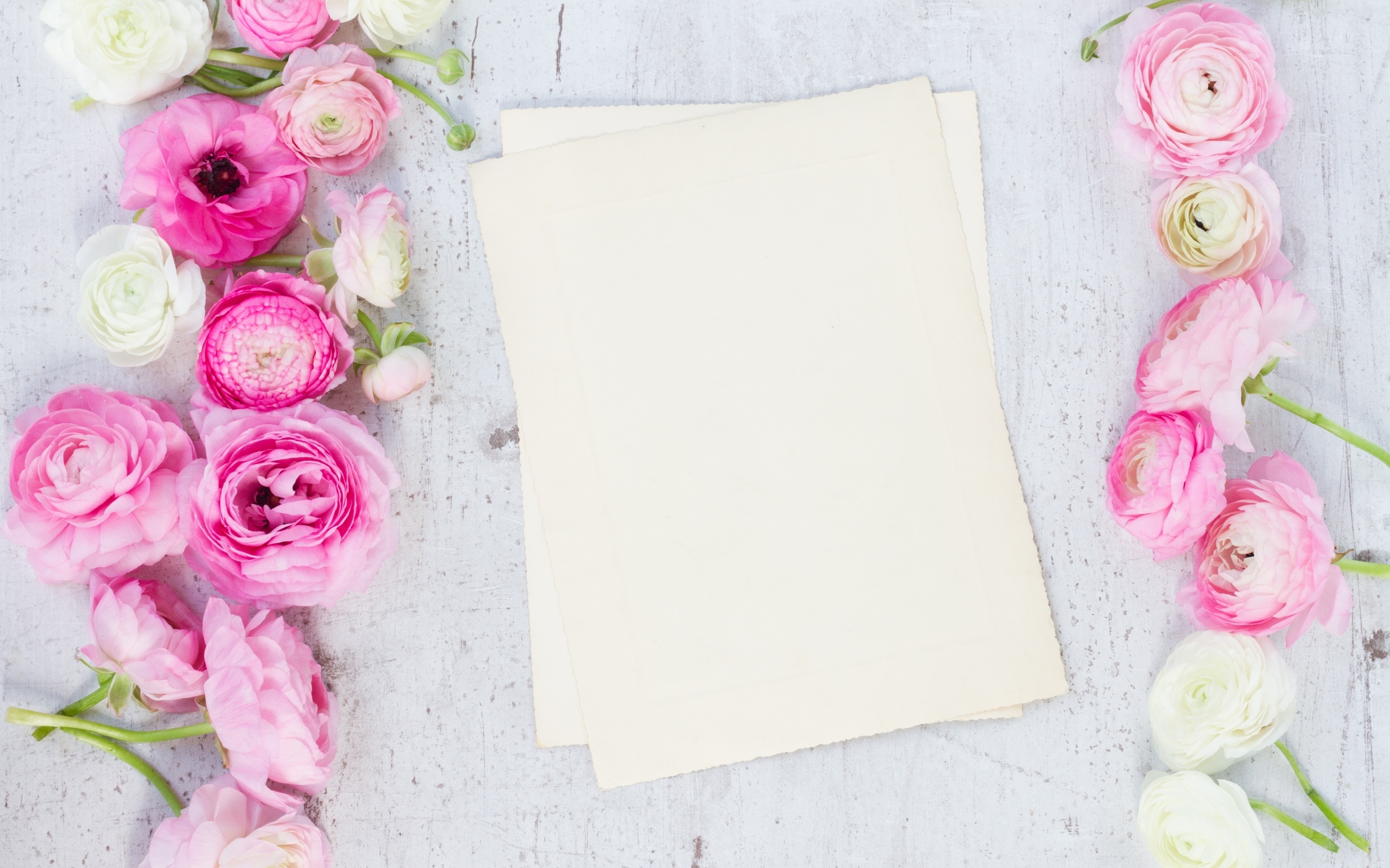 Розовые лютики с белыми листами на сером столе