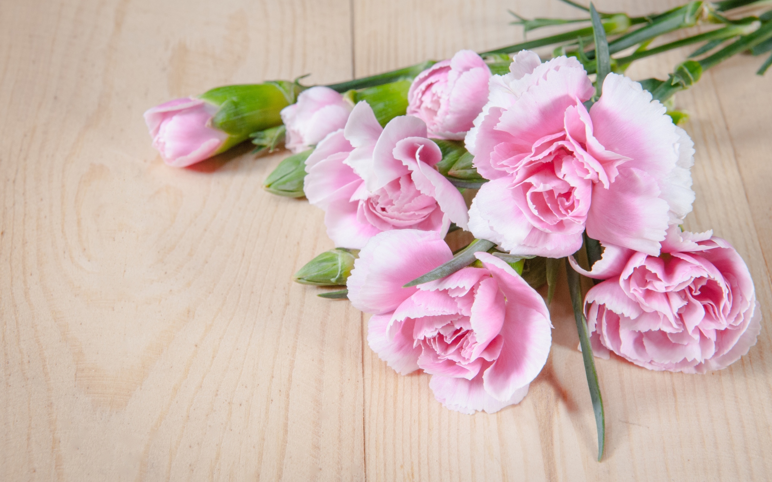 Розовые гвоздики на столе