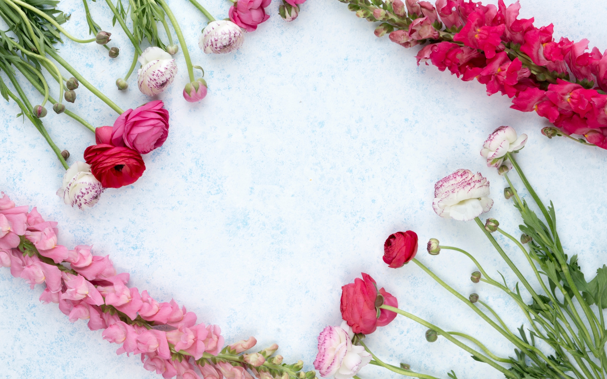 Лютики и цветы антирринум на голубом фоне