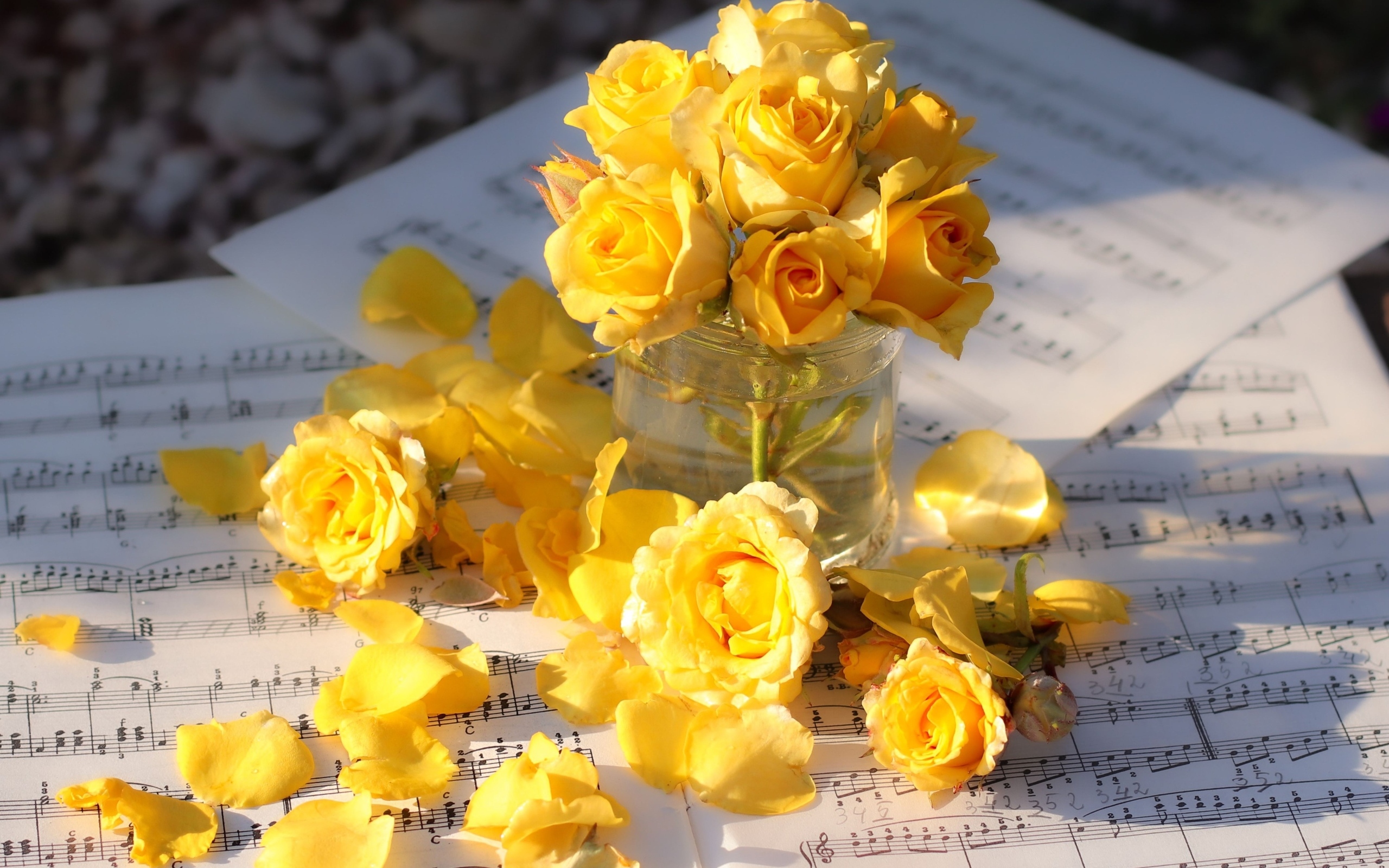 Желтые розы на нотных листах в лучах солнца
