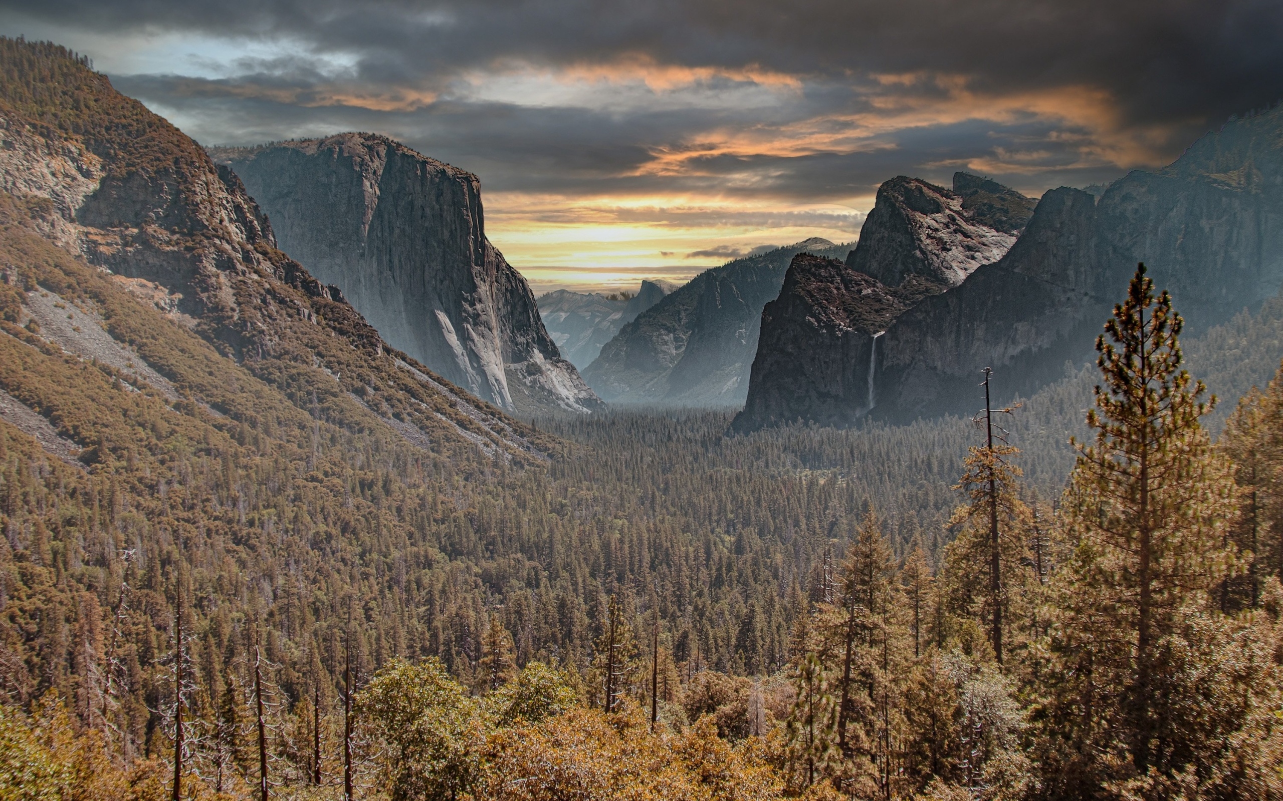 Красивый вид на хвойный лес и голы под грозовым небом