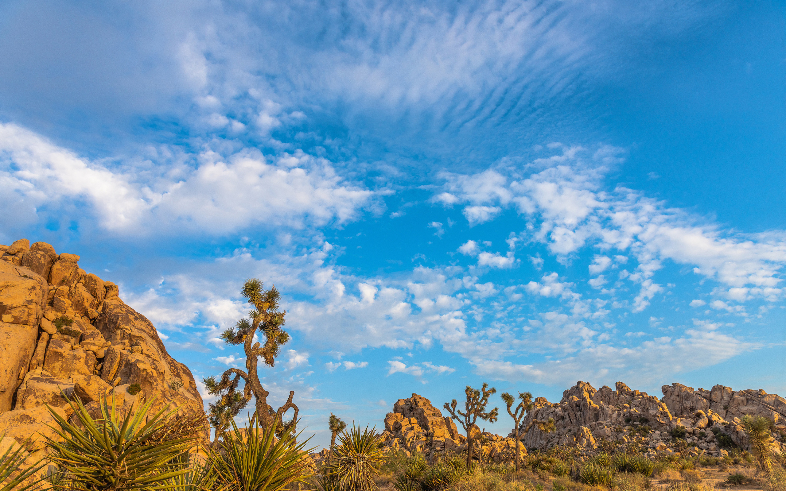 Кактусы и горы под голубым небом с белыми облаками