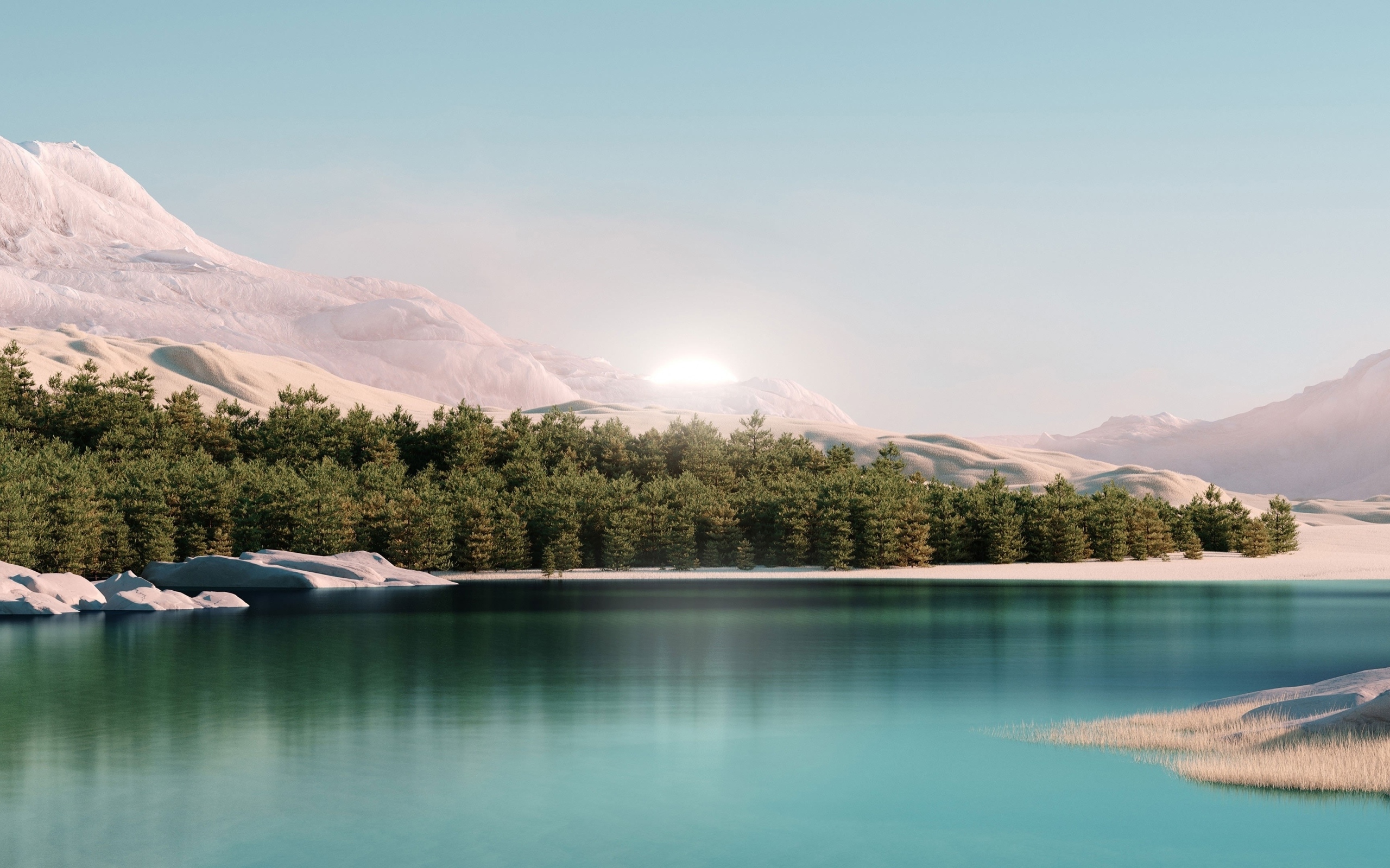 Лес у озера с голубой водой в горах