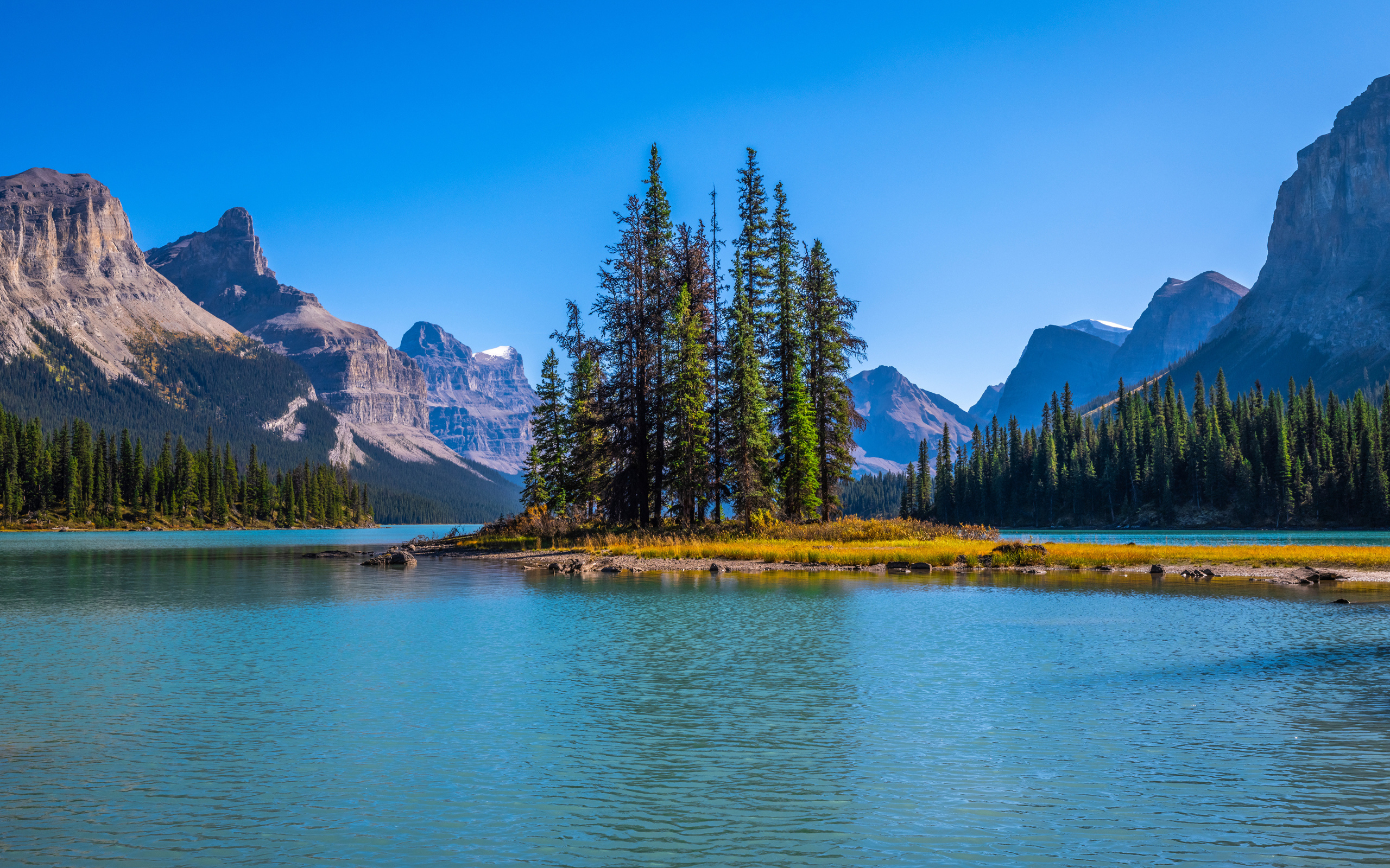 Остров с высокими елями посреди горного озера