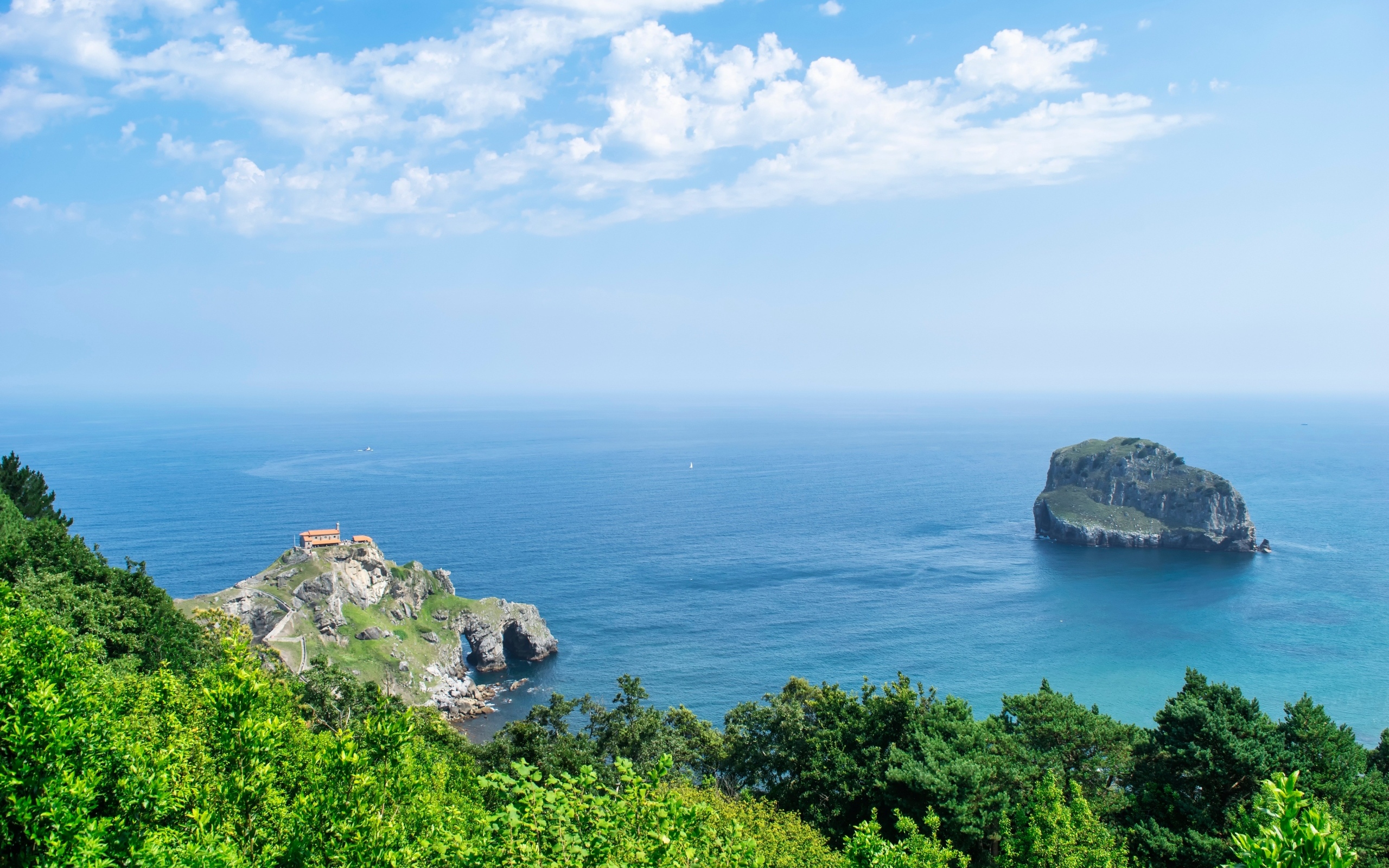 Красивый вид на море с покрытой деревьями горы