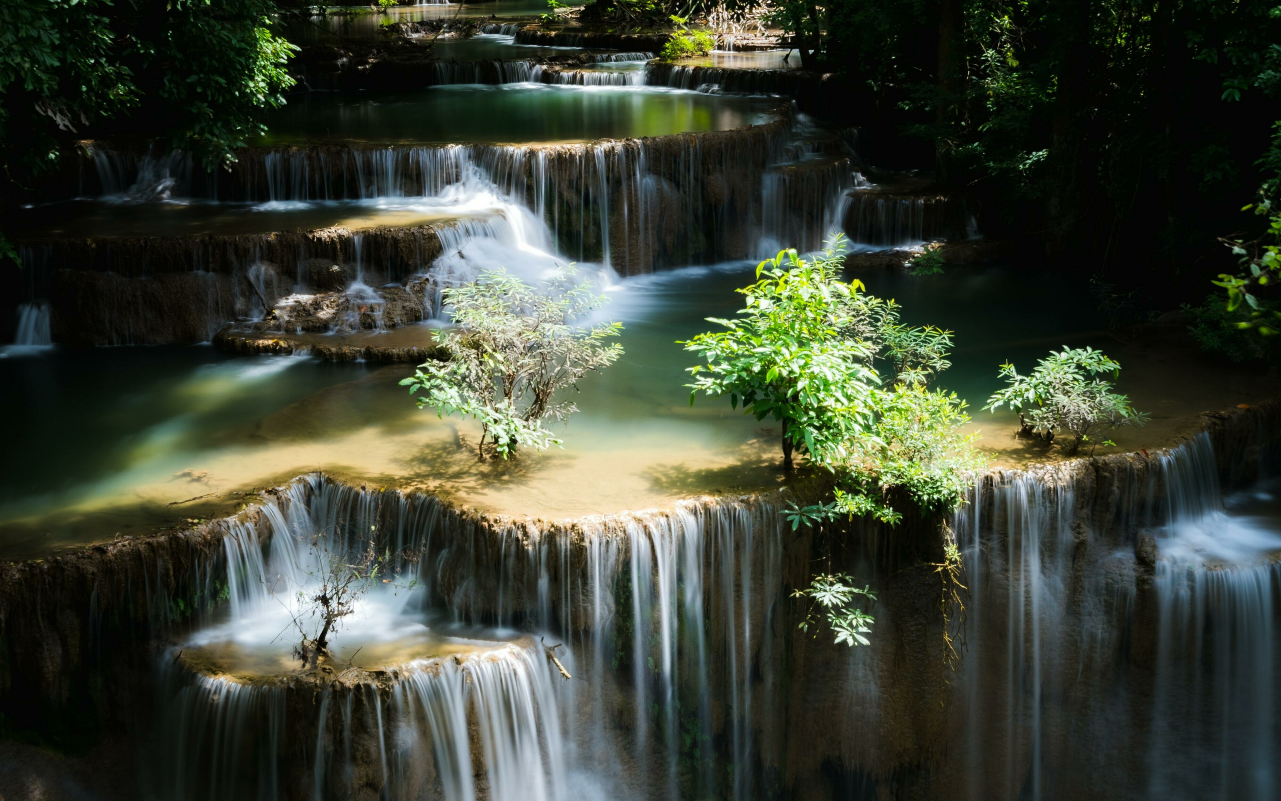 Водопад стекает по лесным порогам