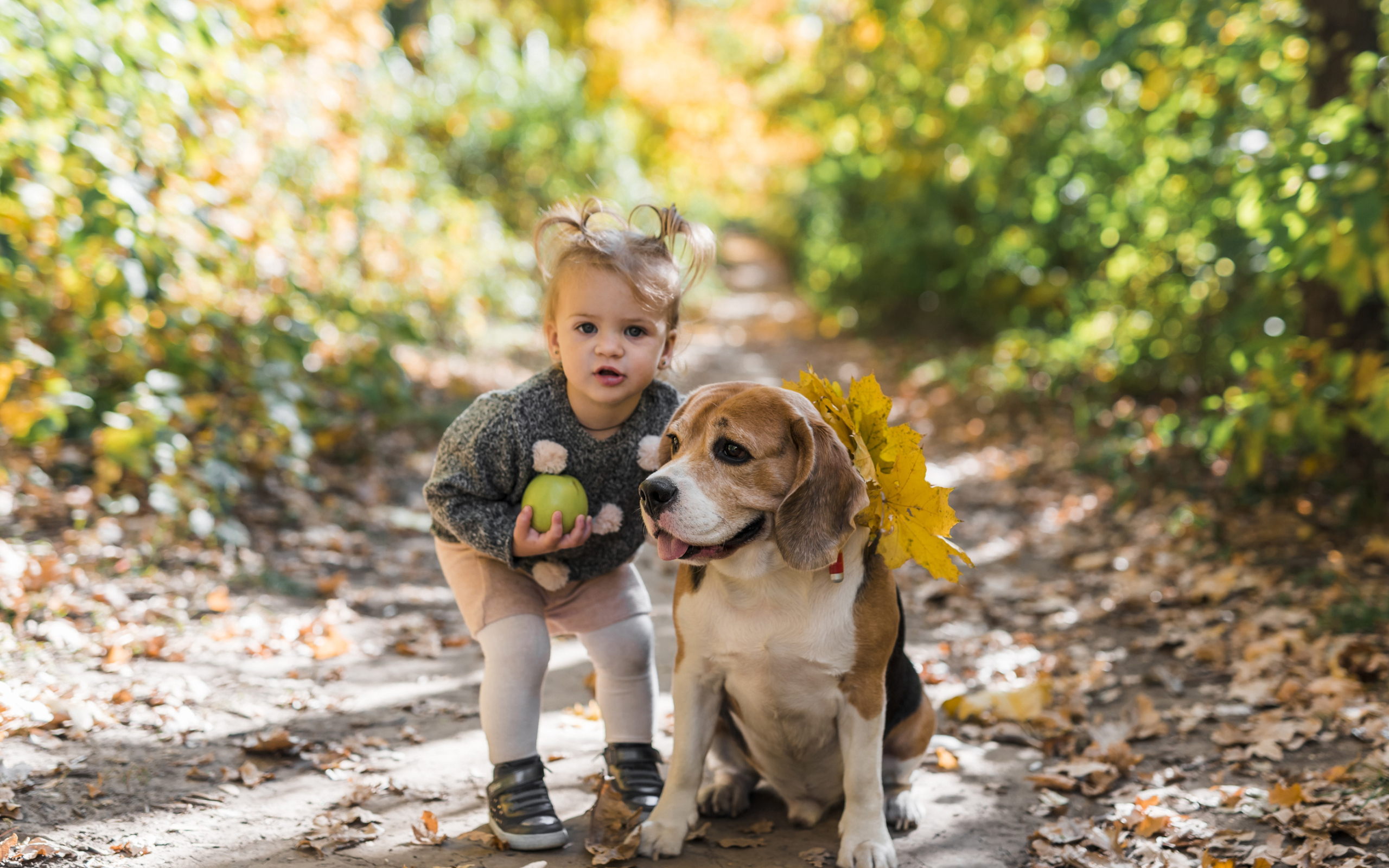 Маленькая девочка с собакой в парке