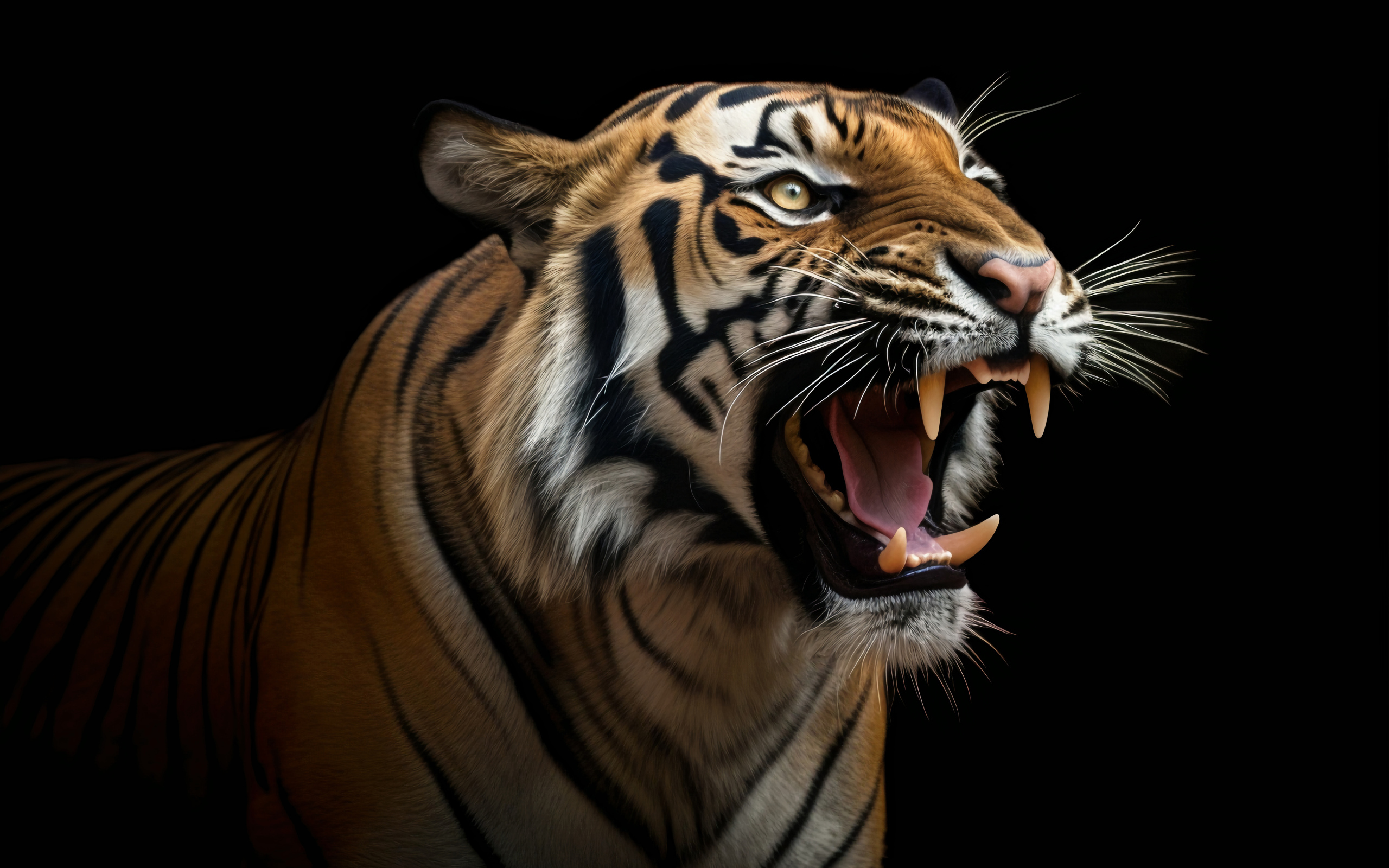 Острые клыки полосатого тигра на черном фоне