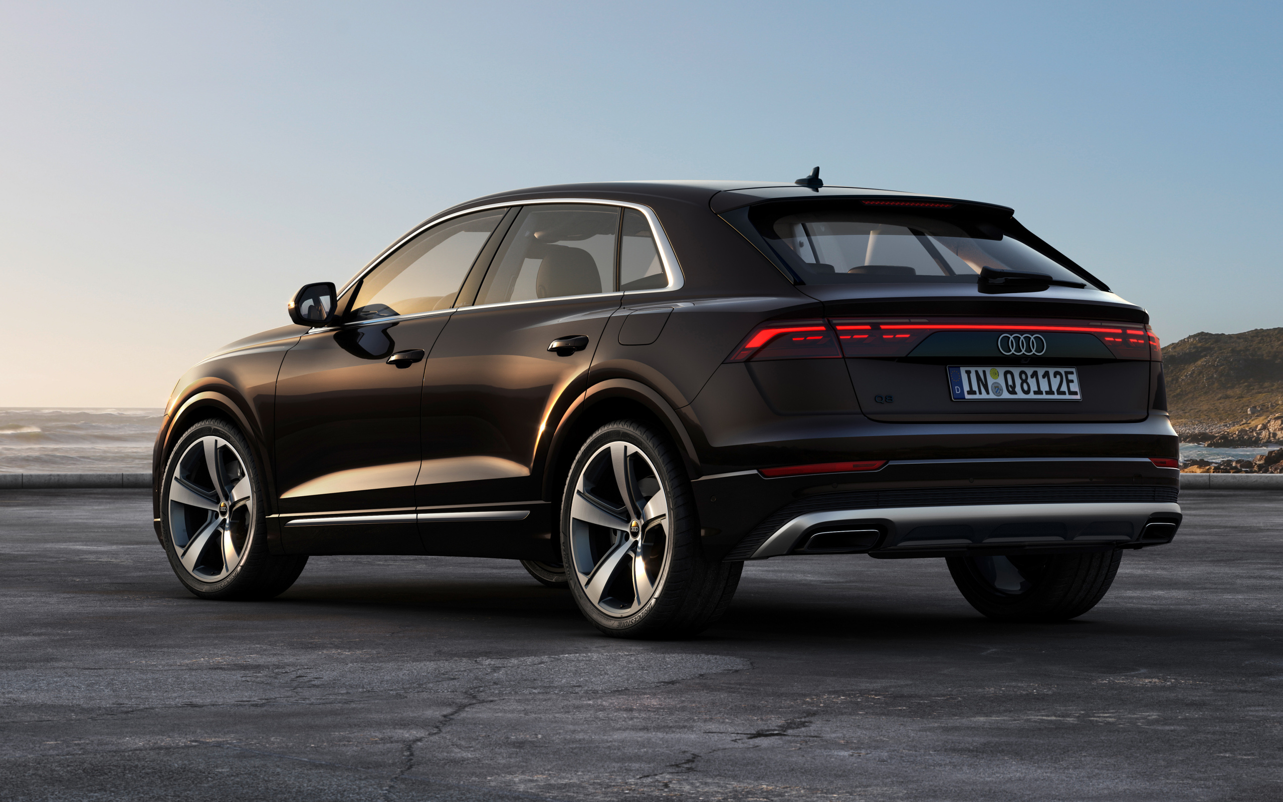 Вид сзади на черный автомобиль Audi Q8 55 TFSI E Quattro 2024 года