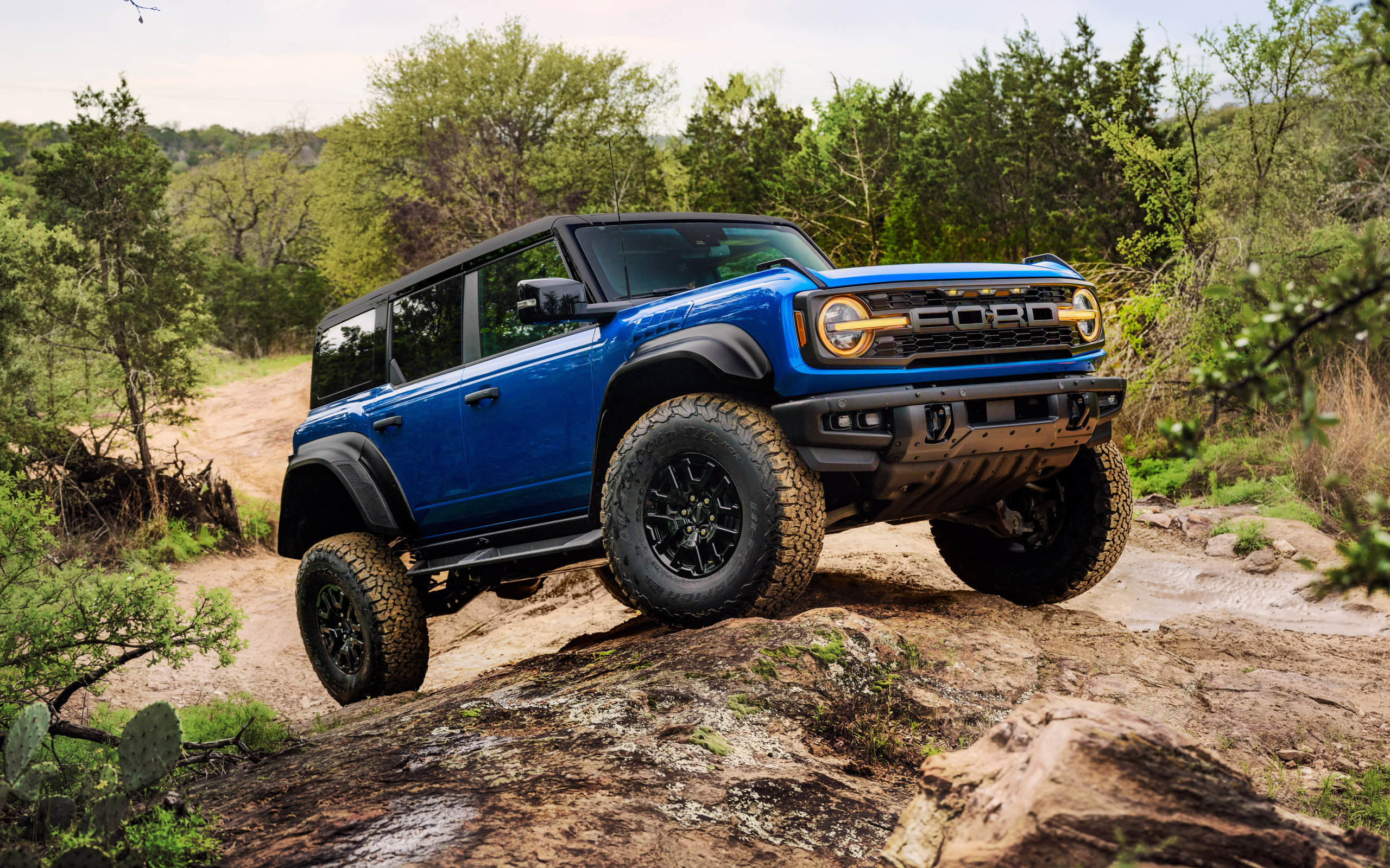 Внедорожник Ford Bronco Raptor Black Appearance Package 2024  года