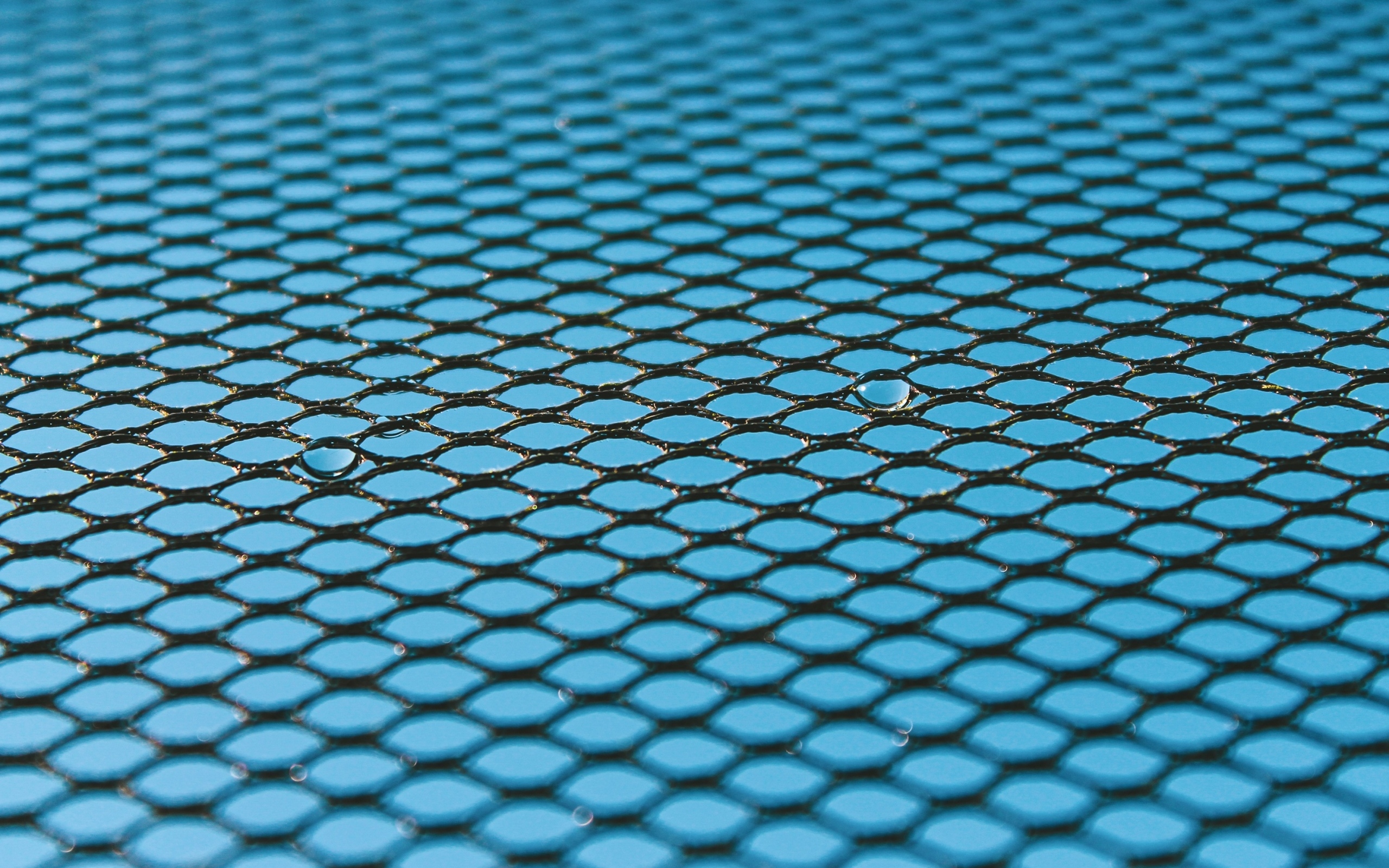 Черная сетка на голубом для фона