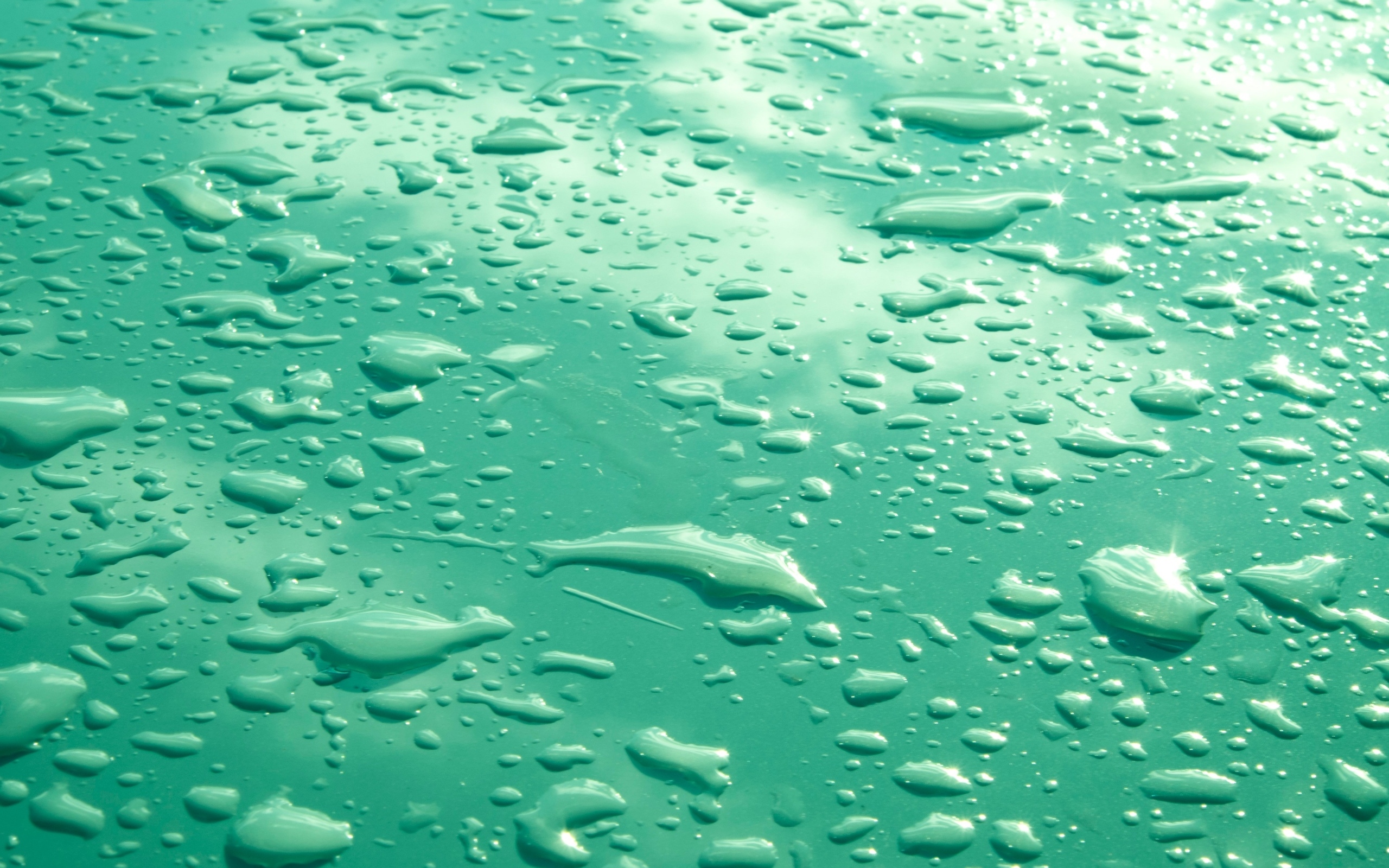 Капли воды на зеленом фоне