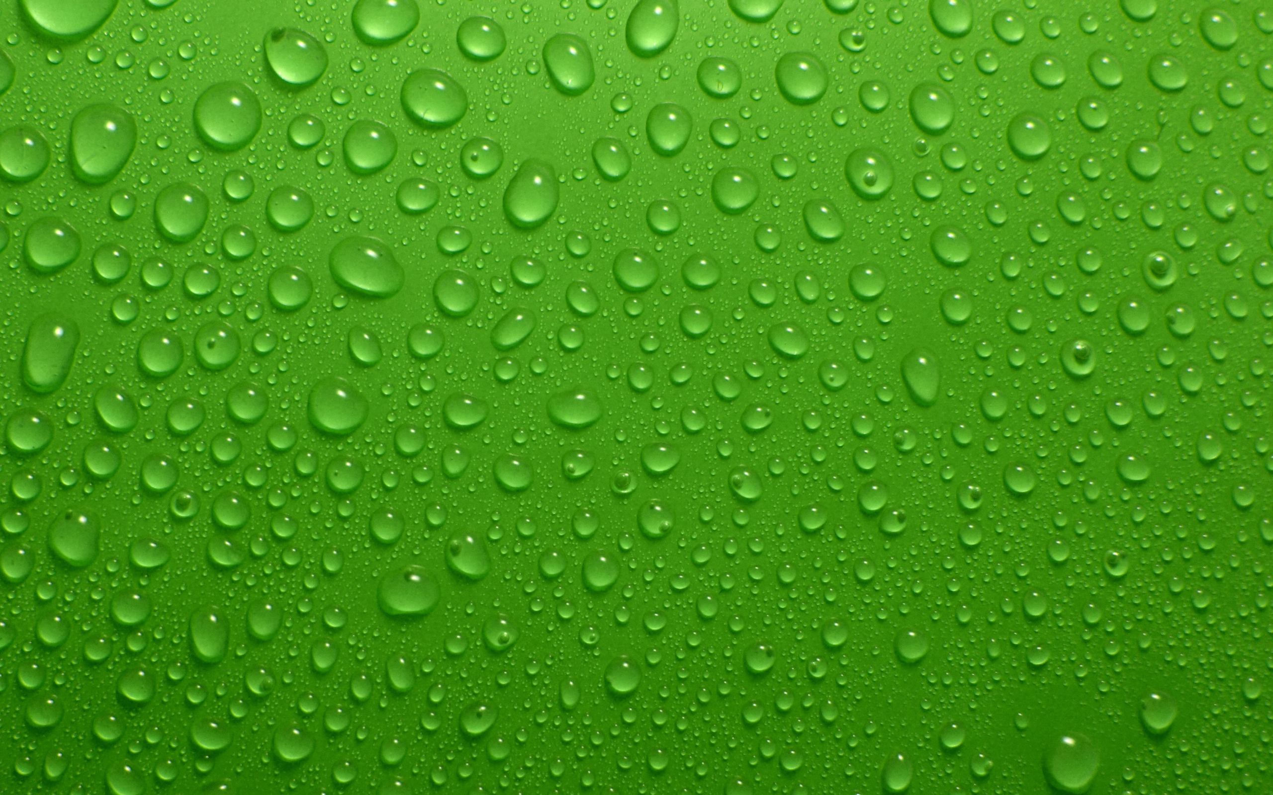 Капли воды на зеленом фоне