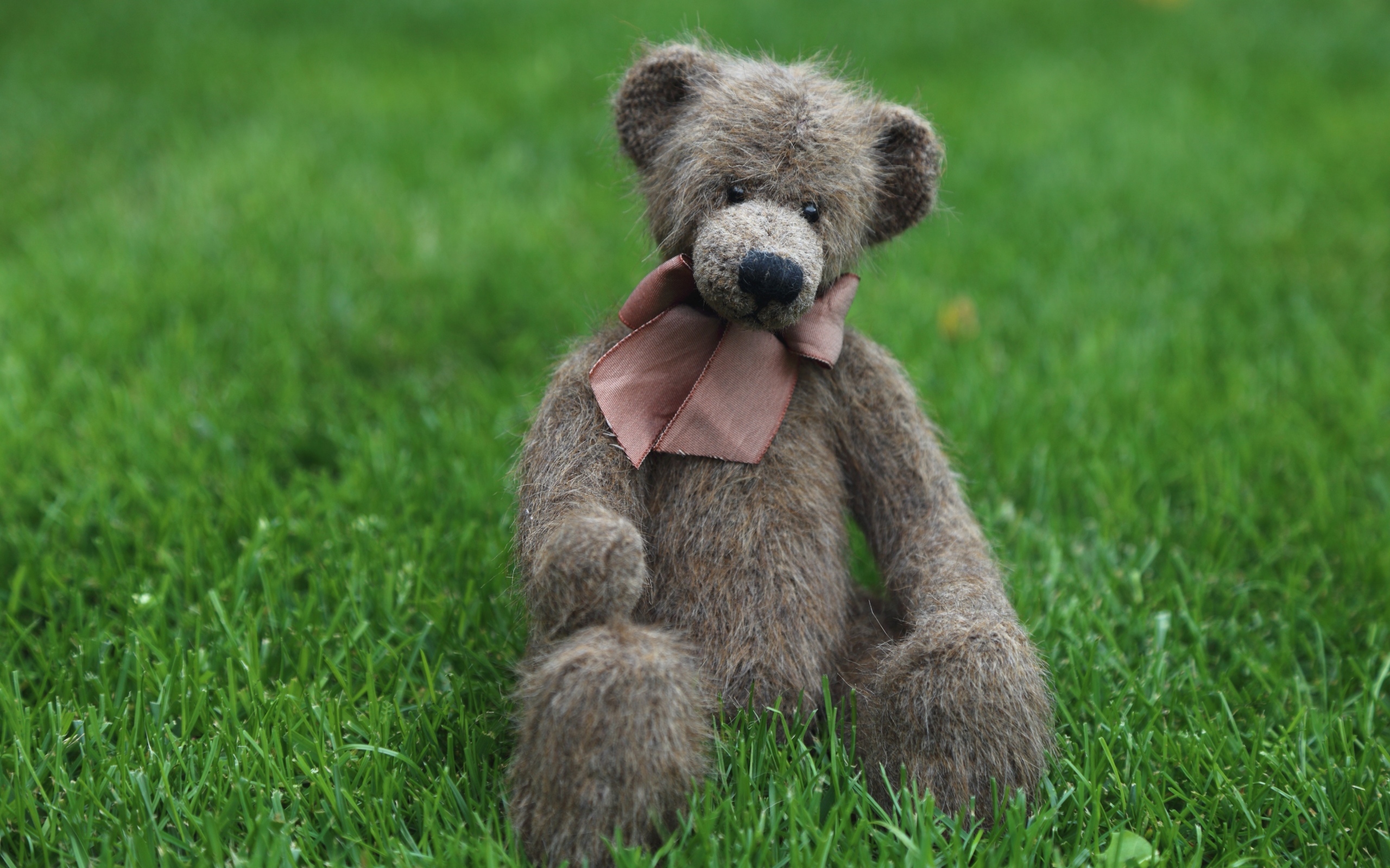 Игрушечный медведь с бантом сидит на зеленой траве