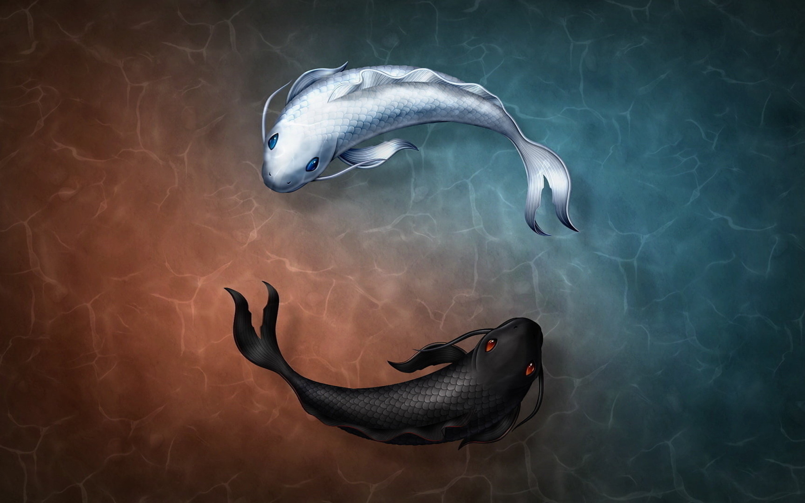 Черная и белая нарисованные рыбы в воде