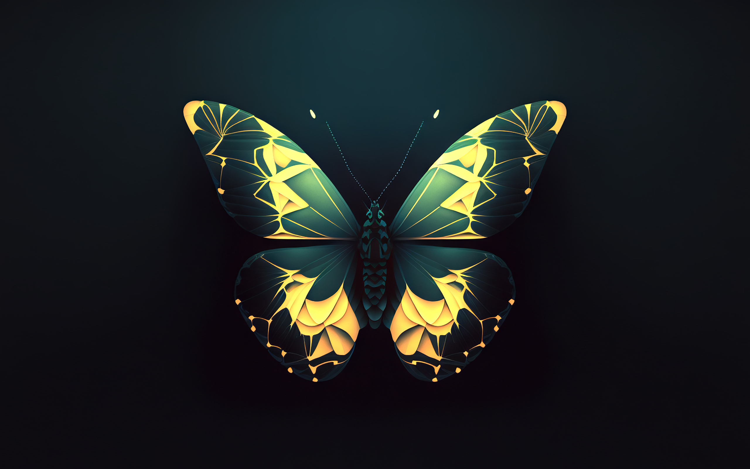 Нарисованная зеленая бабочка на черном фоне