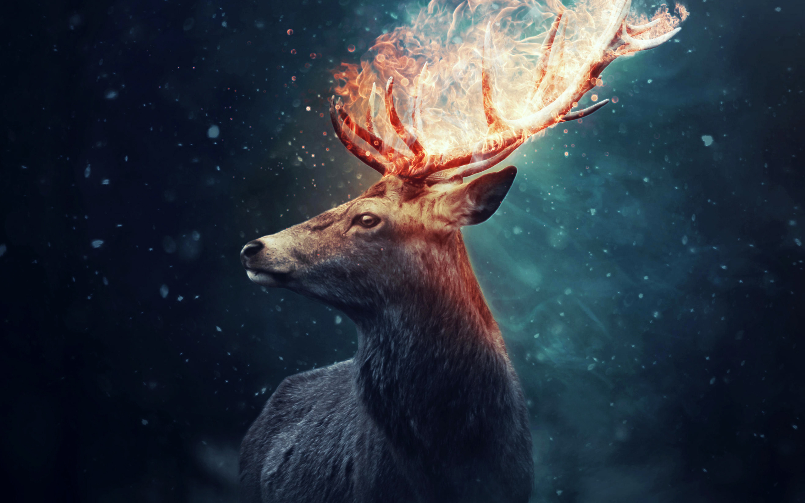 Олень с огненными рогами на черном фоне