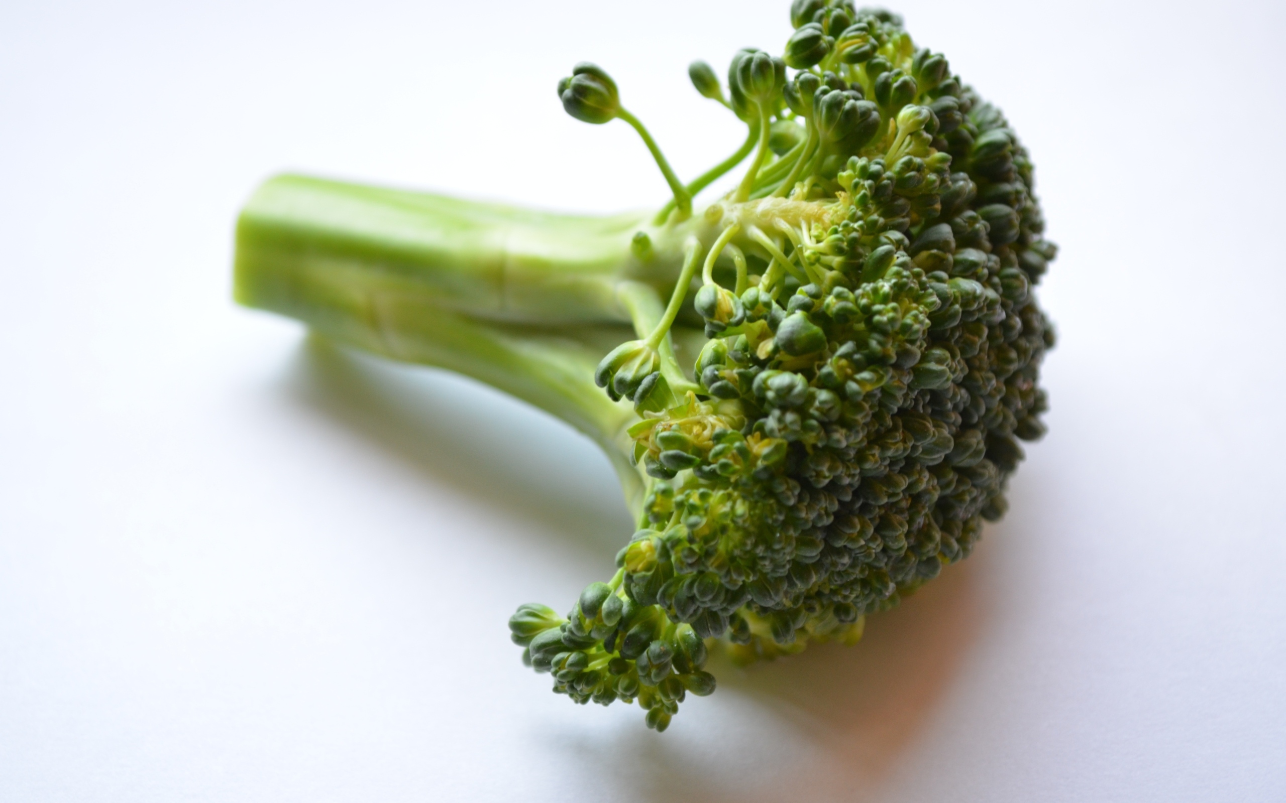 Свежее зеленое брокколи на сером фоне