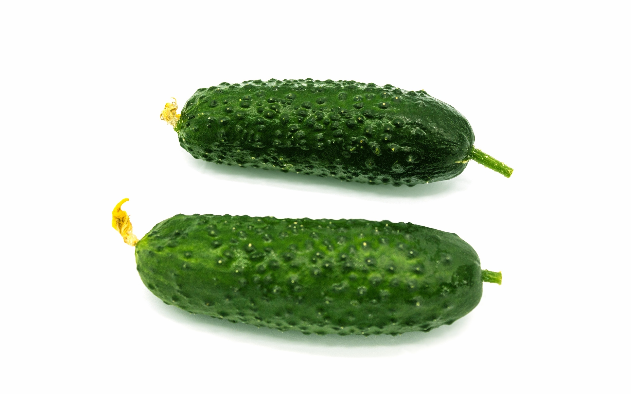 Два зеленых огурца на белом фоне