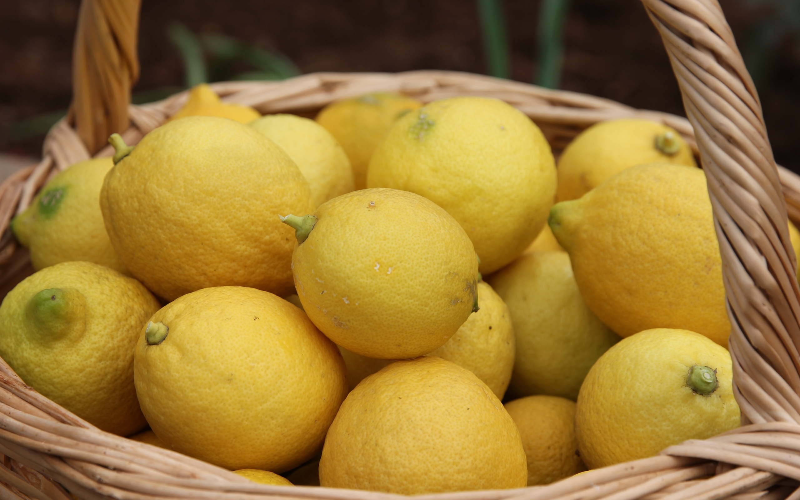 Много спелых желтых лимонов в корзине на столе