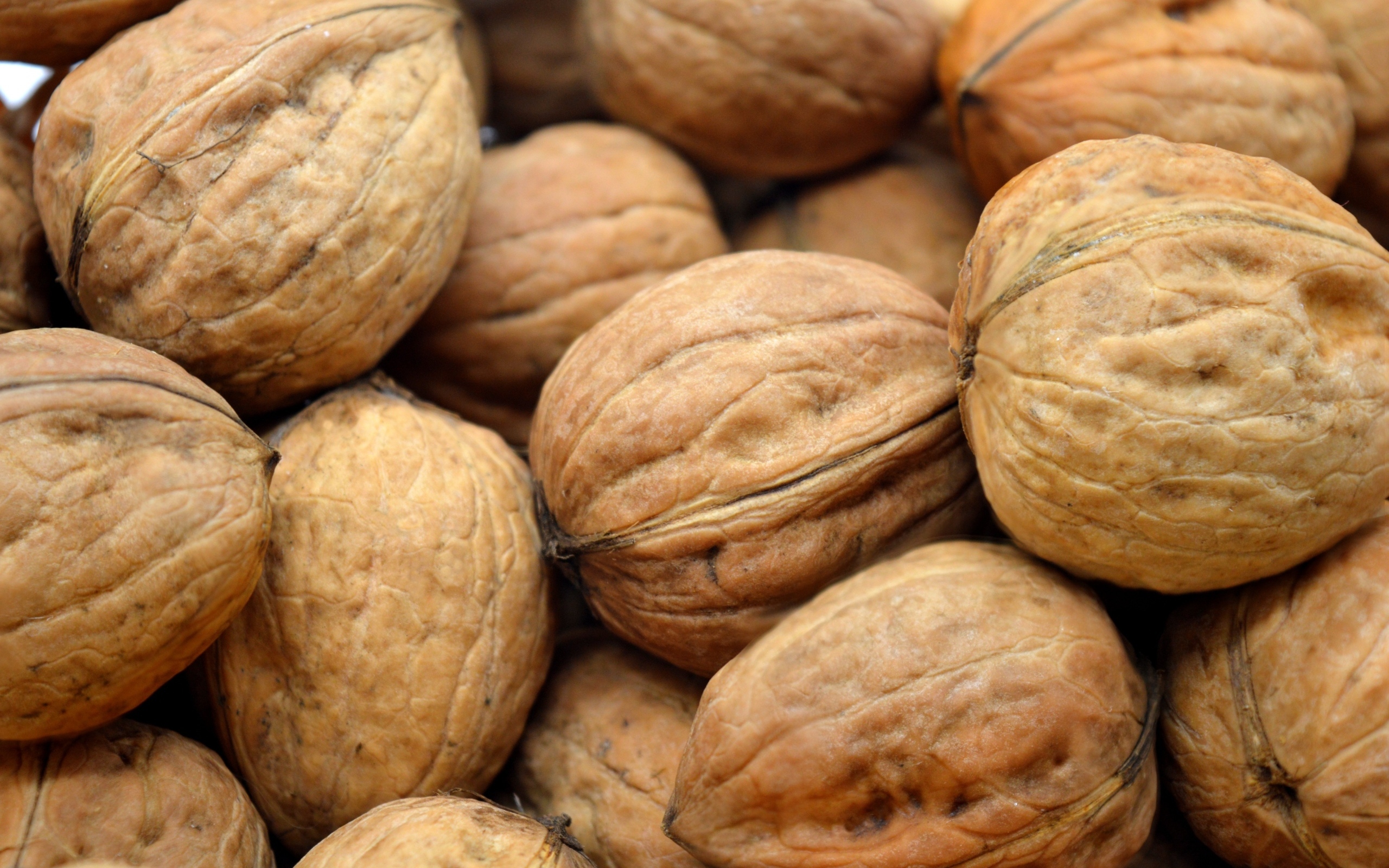Много грецких орехов крупным планом