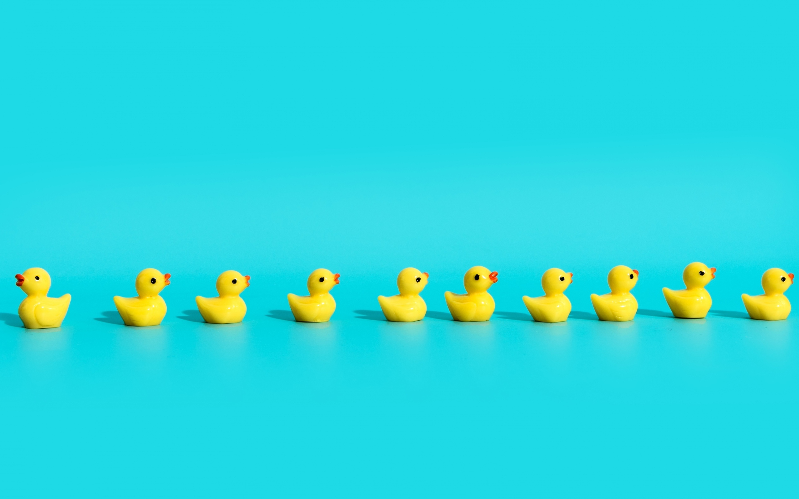 Маленькие игрушечные утята на голубом фоне