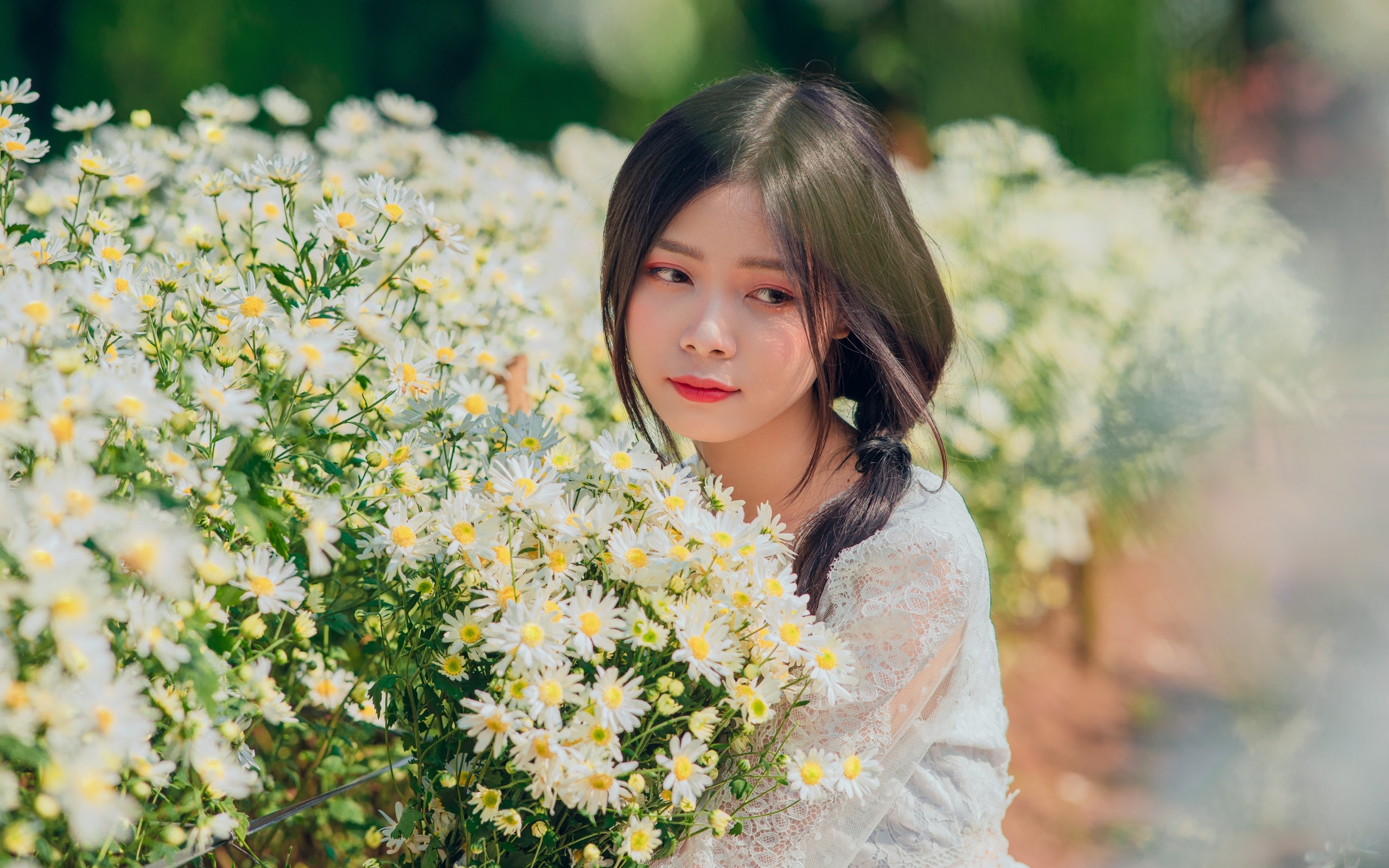 Нежная девушка азиатка с цветами ромашки