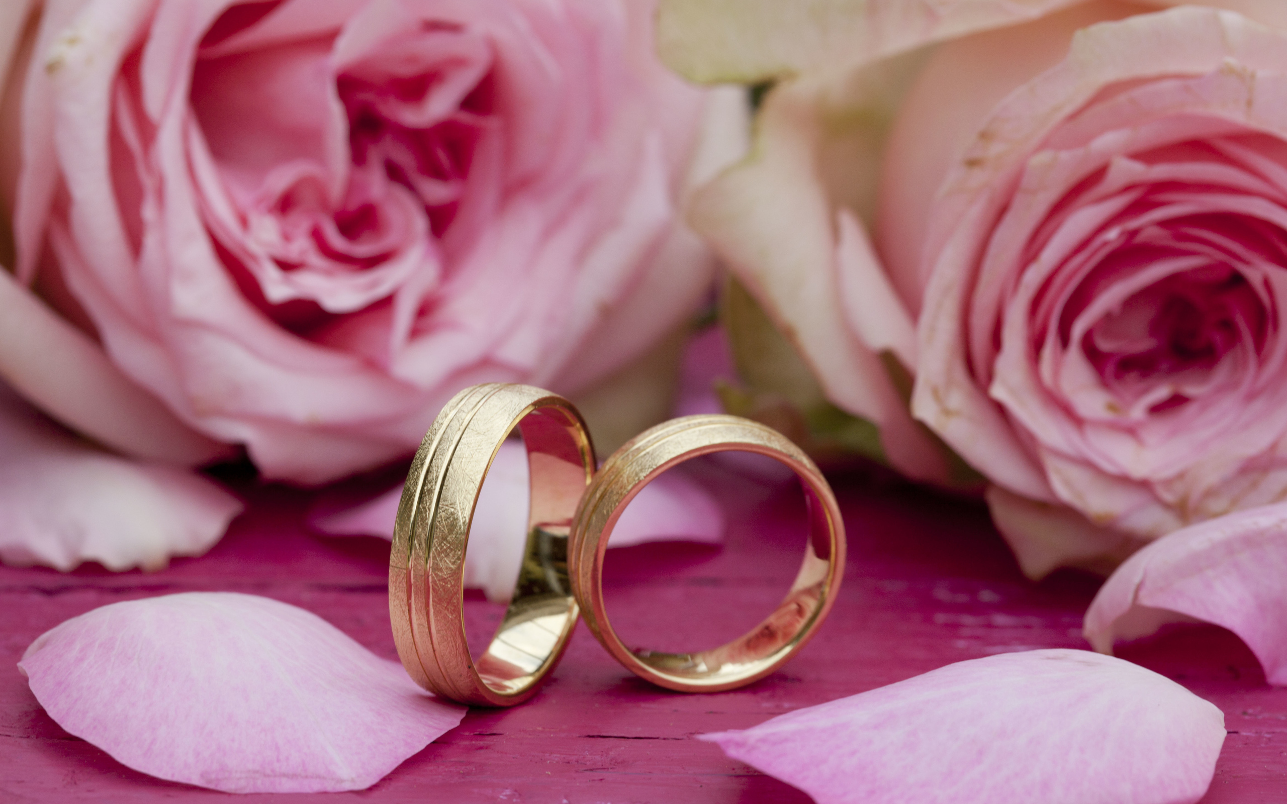 Два золотых обручальных кольца с цветами розы