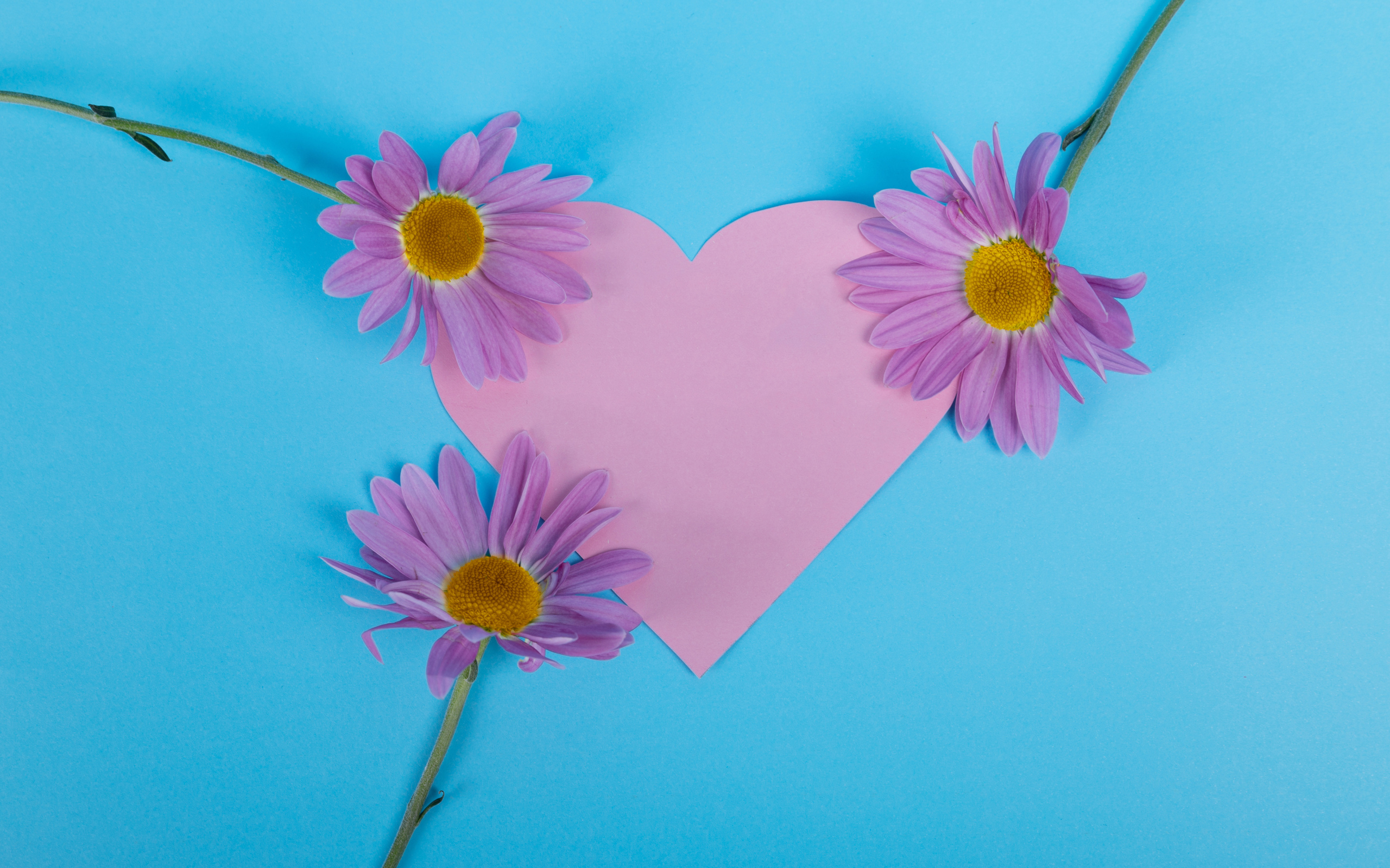 Розовое сердце с цветами на голубом фоне