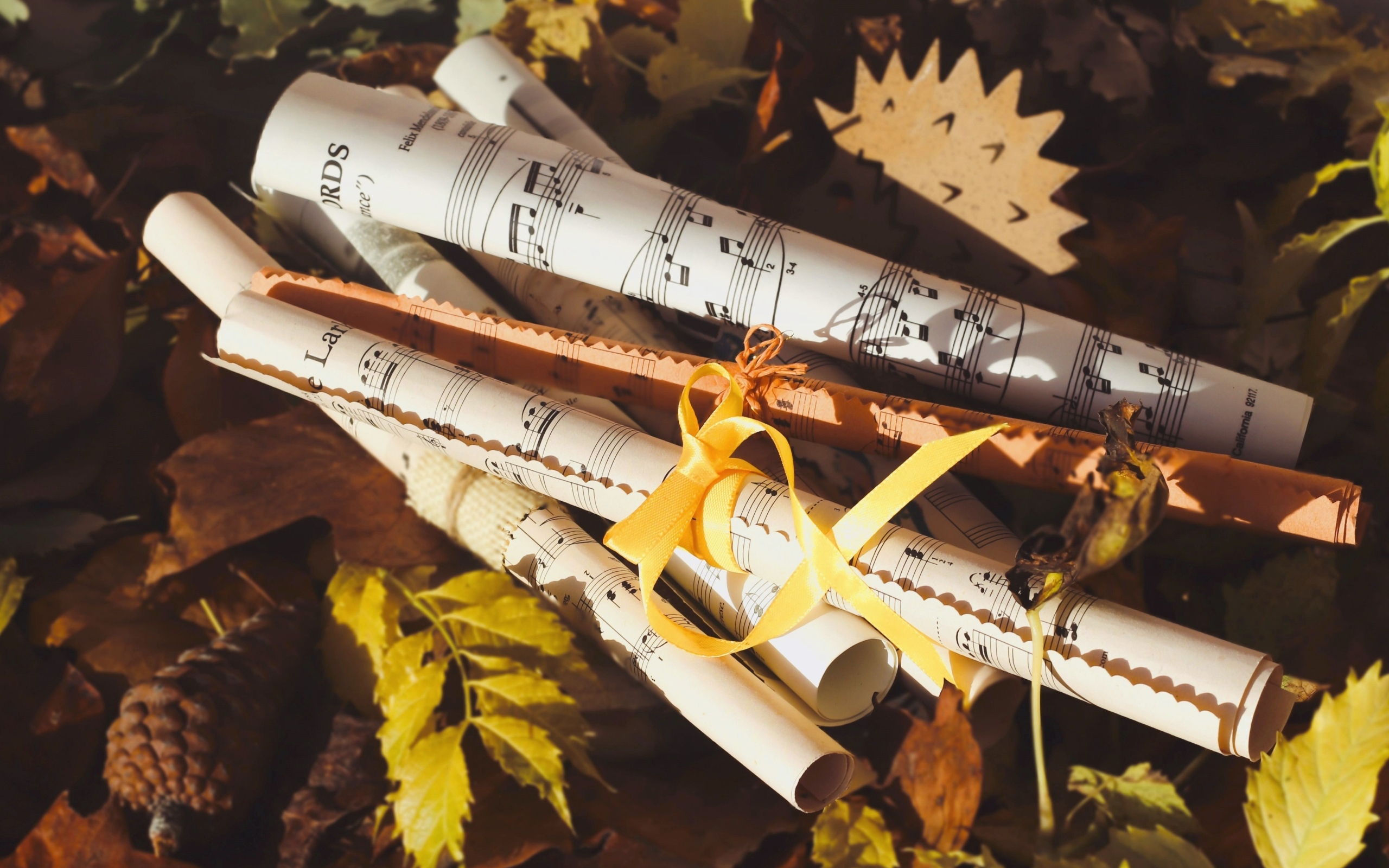 Ноты лежат на земле с опавшими листьями